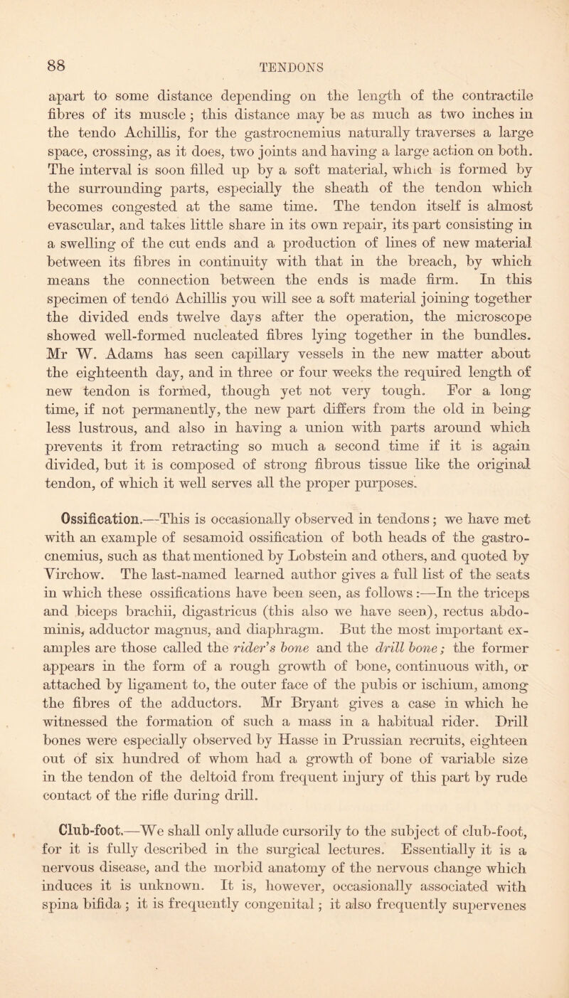 apart to some distance depending on tire length, of the contractile fibres of its muscle; this distance may be as much as two inches in the tendo Achillis, for the gastrocnemius naturally traverses a large space, crossing, as it does, two joints and having a large action on both. The interval is soon filled up by a soft material, which is formed by the surrounding parts, especially the sheath of the tendon which becomes congested at the same time. The tendon itself is almost evascular, and takes little share in its own repair, its part consisting in a swelling of the cut ends and a production of lines of new material between its fibres in continuity with that in the breach, by which means the connection between the ends is made firm. In this specimen of tendo Achillis you will see a soft material joining together the divided ends twelve days after the operation, the microscope showed well-formed nucleated fibres lying together in the bundles. Mr W. Adams has seen capillary vessels in the new matter about the eighteenth day, and in three or four weeks the required length of new tendon is formed, though yet not very tough. For a long time, if not permanently, the new part differs from the old in being less lustrous, and also in having a union with parts around which prevents it from retracting so much a second time if it is again divided, but it is composed of strong fibrous tissue like the original tendon, of which it well serves all the proper purposes. Ossification.—This is occasionally observed in tendons; we have met with an example of sesamoid ossification of both heads of the gastro¬ cnemius, such as that mentioned by Lobstein and others, and quoted by Virchow. The last-named learned author gives a full list of the seats in which these ossifications have been seen, as follows:—In the triceps and biceps brachii, digastricus (this also we have seen), rectus abdo¬ minis, adductor raagnus, and diaphragm. But the most important ex¬ amples are those called the rider's bone and the drill bone ; the former appears in the form of a rough growth of bone, continuous with, or attached by ligament to, the outer face of the pubis or ischium, among the fibres of the adductors. Mr Bryant gives a ease in which he witnessed the formation of such a mass in a habitual rider. Drill bones were especially observed by Hasse in Prussian recruits, eighteen out of six hundred of whom had a growth of bone of variable size in the tendon of the deltoid from frequent injury of this part by rude contact of the rifle during drill. Club-foot.—We shall only allude cursorily to the subject of club-foot, for it is fully described in the surgical lectures. Essentially it is a nervous disease, and the morbid anatomy of the nervous change which induces it is unknown. It is, however, occasionally associated with spina bifida ; it is frequently congenital; it also frequently supervenes