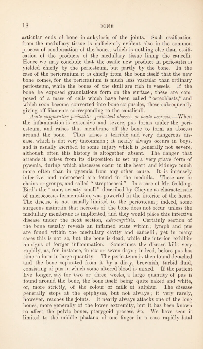 articular ends of bone in ankylosis of the joints. Such ossification from the medullary tissue is sufficiently evident also in the common process of condensation of the bones, which is nothing else than ossifi¬ cation of the products of the medullary tissue lining the caricelli. Hence we may conclude that the ossific new product in periostitis is yielded chiefly by the periosteum, but partly by the bone. In the case of the pericranium it is chiefly from the bone itself that the new bone comes, for the pericranium is much less vascular than ordinary periosteum, while the bones of the skull are rich in vessels. If the bone be exposed granulations form on the surface; these are com¬ posed of a mass of cells which have been called “ osteoblasts,” and which soon become converted into bone-corpuscles, these subsequently giving off filaments corresponding to the canaliculi. Acute suppurative periostitis, periosteal abscess, or acute necrosis.—When the inflammation is extensive and severe, pus forms under the peri¬ osteum, and raises that membrane off the bone to form an abscess around the bone. Thus arises a terrible and very dangerous dis¬ ease, which is not very uncommon; it nearly always occurs in boys, and is usually ascribed to some injury which is generally not severe, although often this history is altogether absent. The danger that attends it arises from its disposition to set up a very grave form of pyaemia, during which abscesses occur in the heart and kidneys much more often than in pyaemia from any other cause. It is intensely infective, and micrococci are found in the medulla. These are in chains or groups, and called “ streptococci.” In a case of Mr. Holding- Bird’s the “ sour, sweaty smell ” described by Cheyne as characteristic of micrococcus fermentation, was powerful in the interior of the heart. The disease is not usually limited to the periosteum; indeed, some surgeons maintain that necrosis of the bone does not occur unless the medullary membrane is implicated, and they would place this infective disease under the next section, osteo-myelitis. Certainly section of the bone usually reveals an inflamed state within; lymph and pus are found within the medullary cavity and cancelli; yet in many cases this is not so, but the bone is dead, while the interior exhibits no signs of forip.er inflammation. Sometimes the disease kills very rapidly, as, for instance, in six or seven days ; indeed, before pus has time to form in large quantity. The periosteum is then found detaehed and the bone separated from it by a dirty, brownish, turbid fluid, consisting of pus in which some altered blood is mixed. If the patient live longer, say for two or three weeks, a large quantity of pus is found around the bone, the bone itself being quite naked and white, or, more strictly, of the colour of milk of sulphur. The disease generally stops at the epiphyses, but not always; it very rarely, however, reaches the joints. It nearly always attacks one of the long bones, more generally of the lower extremity, but it has been known to affect the pelvic bones, pterygoid process, &c. We have seen it limited to the middle phalanx of one finger in a case rapidly fatal