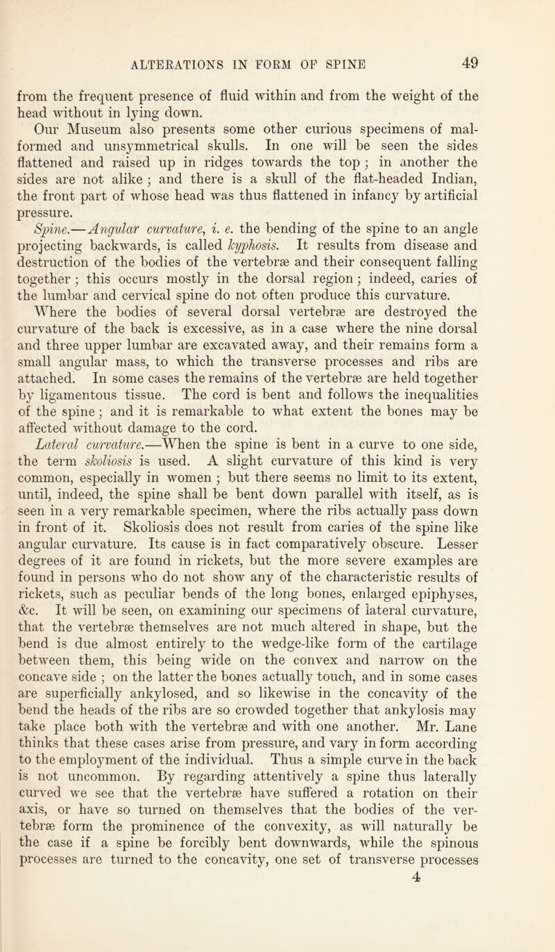 from the frequent presence of fluid within and from the weight of the head without in lying down. Our Museum also presents some other curious specimens of mal¬ formed and unsymmetrical skulls. In one will be seen the sides flattened and raised up in ridges towards the top ; in another the sides are not alike ; and there is a skull of the flat-headed Indian, the front part of whose head was thus flattened in infancy by artificial pressure. Spine.—Angular curvature, i. e. the bending of the spine to an angle projecting backwards, is called kyphosis. It results from disease and destruction of the bodies of the vertebrae and their consequent falling together ; this occurs mostly in the dorsal region; indeed, caries of the lumbar and cervical spine do not often produce this curvature. Where the bodies of several dorsal vertebrae are destroyed the curvature of the back is excessive, as in a case where the nine dorsal and three upper lumbar are excavated away, and their remains form a small angular mass, to which the transverse processes and ribs are attached. In some cases the remains of the vertebrae are held together by ligamentous tissue. The cord is bent and follows the inequalities of the spine; and it is remarkable to what extent the bones may be affected without damage to the cord. Lateral curvature.—When the spine is bent in a curve to one side, the term skoliosis is used. A slight curvature of this kind is very common, especially in women ; but there seems no limit to its extent, until, indeed, the spine shall be bent down parallel with itself, as is seen in a very remarkable specimen, where the ribs actually pass down in front of it. Skoliosis does not result from caries of the spine like angular curvature. Its cause is in fact comparatively obscure. Lesser degrees of it are found in rickets, but the more severe examples are found in persons who do not show any of the characteristic results of rickets, such as peculiar bends of the long bones, enlarged epiphyses, &c. It will be seen, on examining our specimens of lateral curvature, that the vertebrae themselves are not much altered in shape, but the bend is due almost entirely to the wedge-like form of the cartilage between them, this being wide on the convex and narrow on the concave side ; on the latter the bones actually touch, and in some cases are superficially ankylosed, and so likewise in the concavity of the bend the heads of the ribs are so crowded together that ankylosis may take place both with the vertebrse and with one another. Mr. Lane thinks that these cases arise from pressure, and vary in form according to the employment of the individual. Thus a simple curve in the back is not uncommon. By regarding attentively a spine thus laterally curved we see that the vertebree have suffered a rotation on their axis, or have so turned on themselves that the bodies of the ver- tebrse form the prominence of the convexity, as will naturally be the case if a spine be forcibly bent downwards, while the spinous processes are turned to the concavity, one set of transverse processes 4