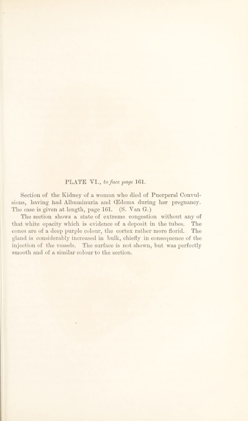 Section of the Kidney of a woman who died of Puerperal Convul¬ sions, having had Albuminuria and (Edema during her pregnancy. The case is given at length, page 161. (S. Van G.) The section shows a state of extreme congestion without any of that white opacity which is evidence of a deposit in the tubes. The cones are of a deep purple colour, the cortex rather more florid. The gland is considerably increased in bulk, chiefly in consequence of the injection of the vessels. The surface is not shown, but was perfectly smooth and of a similar colour to the section.