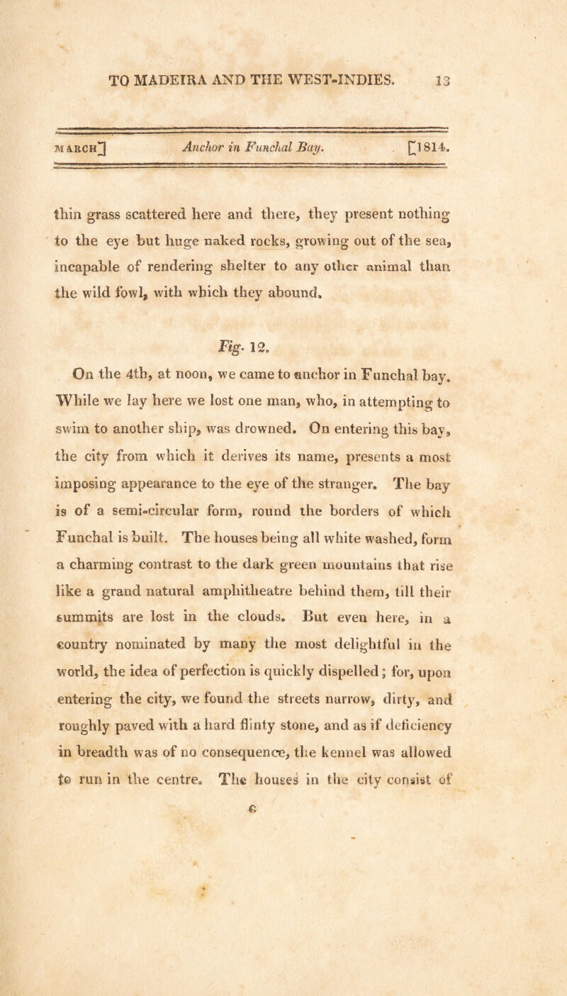 m4kch]] Anchor in Funchal Bay. [^1814, thin grass scattered here and there, they present nothing to the eye but huge naked rocks, growing out of the sea, incapable of rendering shelter to any other animal than the wild fowl, with which they abound, Fig‘ 12, On the 4th, at noon, we came to anchor in Funchal bay. While we lay here we lost one man, who, in attempting to swim to another ship, was drowned. On entering this bay, the city from which it derives its name, presents a most imposing appearance to the eye of the stranger. The bay is of a semi-circular form, round the borders of which Funchal is built. The houses being all white w^ashed, form a charming contrast to the dark green mountains that rise like a grand natural amphitheatre behind them, till their summits are lost in the clouds. But even here, in a country nominated by many the most delightful iu the world, the idea of perfection is quickly dispelled; for, upon entering the city, we found the streets narrow, dirty, and roughly paved with a hard flinty stone, and as if deficiency in breadth was of no consequence, tlie kennel was allowed to run in the centre. The houses in the city consist of
