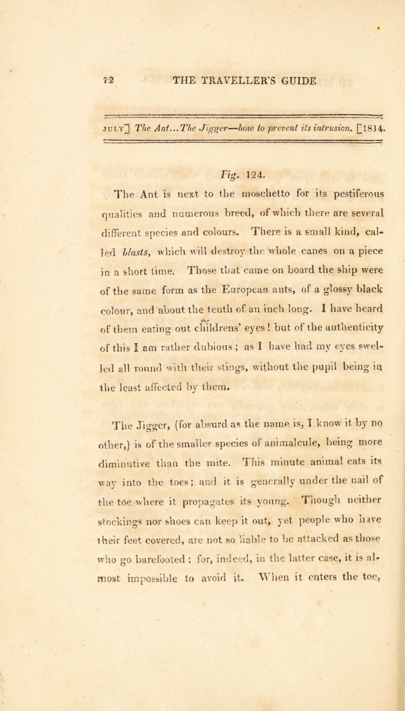 s JULY^ The Ant...The Jigg'er—hoiu to prevent its intrusion. []^1814* Tig. 124. The Ant is next to the moscheito for its pestiferous fjuahties and numerous breed, of which there are several different species and colours. There is a small kind, cal¬ led blasts, which will destroy the vvhole canes on a piece in a short time. Those that came on hoard the ship were of tlie same form as the European ants, of a glossy black colour, and about the tenth of an inch long. 1 have heard of them eating out childrens’ eyes ! but of the authenticity of this I am rather dubious ; as I have had my eyes swel¬ led all round with their stings, without the pupil being in the least affected by them. The Jigger, (for absurd as the name is, I know it by nq other,') is of the smaller species of animalcule, being more diminutive than the mite. This minute animal eats its wav into the toes; and it is generally under the nail of the toe where it propagates its young. Though neither stockings nor shoes can keep it out, yet people who have their feet covered, are not so liable to he attacked as those who go barefooted ; for, indeed, in the latter case, it is al¬ most impossible to avoid jt. hen it enters the toe.