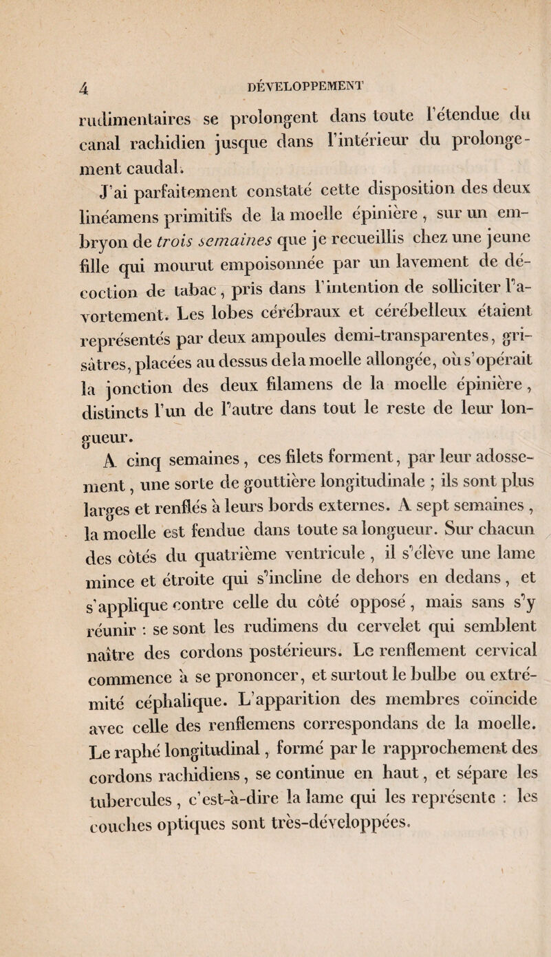 rudimentaires se prolongent dans toute 1 étendue du canal rachidien jusque dans l’intérieur du prolonge¬ ment caudal. J’ai parfaitement constaté cette disposition des deux linéamens primitifs de la moelle épiniere , sur un em¬ bryon de trois semaines que je recueillis chez une jeune fille qui mourut empoisonnée par un lavement de dé¬ coction de tabac, pris dans T intention de solliciter F a- vortement. Les lobes cérébraux et cérébelleux étaient représentés par deux ampoules demi-transparentes, gri¬ sâtres, placées au dessus delà moelle allongée, ou s’opérait la jonction des deux filamens de la moelle épinière, distincts l’un de F autre dans tout le reste de leur lon¬ gueur. A cinq semaines , ces filets forment, par leur adosse¬ ment , une sorte de gouttière longitudinale ; ils sont plus larges et renflés â leurs bords externes. A sept semaines , la moelle est fendue dans toute sa longueur. Sur chacun des côtés du quatrième ventricule , il s'élève une lame mince et étroite qui s'incline de dehors en dedans, et s’applique contre celle du côté opposé, mais sans s1 y réunir : se sont les rudimens du cervelet qui semblent naître des cordons postérieurs. Le renflement cervical commence a se prononcer, et surtout le bulbe ou extré¬ mité céphalique. L’apparition des membres coïncide avec celle des renflemens correspondans de la moelle. Le raphé longitudinal, formé par le rapprochement des cordons rachidiens, se continue en haut, et sépare les tubercules, c’est-â-dire la lame qui les représente : les couches optiques sont très-développées.