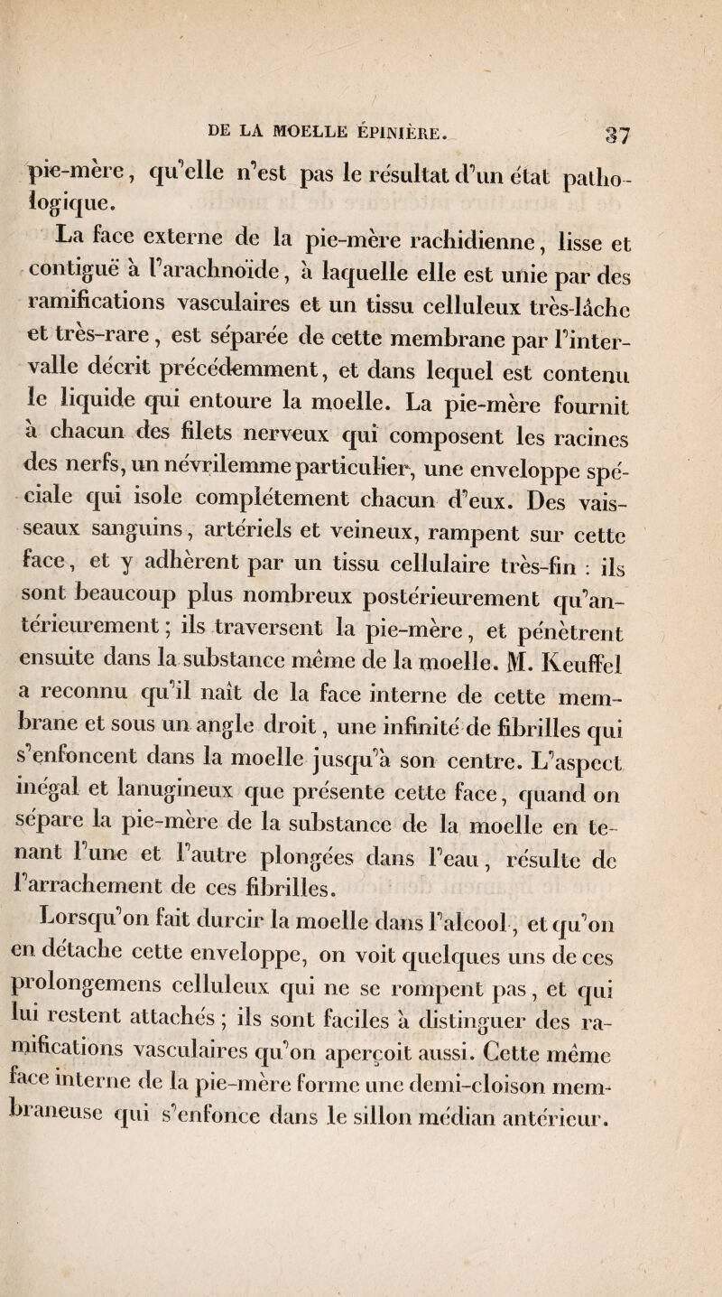 pie-mère, qu’elle n’est pas le résultat d’un état patlio - logique. La face externe de la pie-mère rachidienne, lisse et contiguë a l’arachnoïde, a laquelle elle est unie par des ramifications vasculaires et un tissu celluleux très-lâche et tres-rare, est séparée de cette membrane par l’inter- valle décrit précédemment, et dans lequel est contenu le liquide qui entoure la moelle. La pie-mère fournit a chacun des filets nerveux qui composent les racines des nerfs, un névrilemme particulier, une enveloppe spé¬ ciale qui isole complètement chacun d’eux. Des vais¬ seaux sanguins, artériels et veineux, rampent sur cette face, et y adhèrent par un tissu cellulaire très-fin : ils sont beaucoup plus nombreux postérieurement qu’an- térieurement ; ils traversent la pie-mère, et pénètrent ensuite dans la substance meme de la moelle. JJf. Keuffel a reconnu qu’il naît de la face interne de cette mem¬ brane et sous un angle droit, une infinité de fibrilles qui s’enfoncent dans la moelle jusqu’à son centre. L’aspect inégal et lanugineux que présente cette face, quand on sépare la pie-mère de la substance de la moelle en te¬ nant 1 une et 1 autre plongées dans l’eau, résulte de l’arrachement de ces fibrilles. Lorsqu on fait durcir la moelle dans l’alcool, et qu’on en détache cette enveloppe, on voit quelques uns de ces prolongemens celluleux qui ne se rompent pas, et qui lui restent attachés ; ils sont faciles à distinguer des ra¬ mifications vasculaires qu’on aperçoit aussi. Cette même face interne de la pie-mère forme une demi-cloison mem¬ braneuse qui s’enfonce dans le sillon médian antérieur.