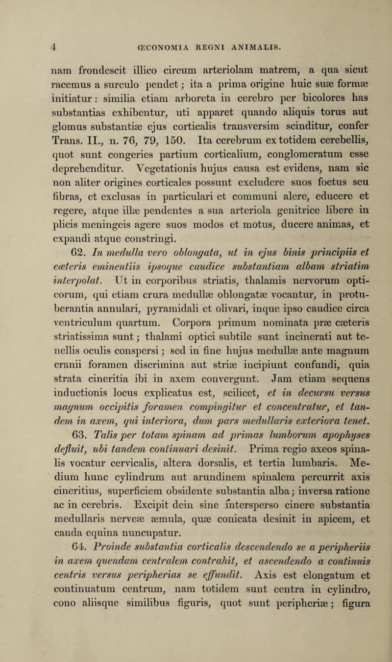 nam frondescit illico circnm arteriolam matrem, a qua sicut racemus a surculo pendet; ita a prima origine huic suae fornue initiatur: similia etiam arboreta in cerebro per bicolores bas substantias exhibentur, uti apparet quando aliquis torus aut glomus substantiae ejus corticalis transversim scinditur, confer Trans. II., n. 76, 79, 150. Ita cerebrum ex totidem cerebellis, quot sunt congeries partium corticalium, conglomeratum esse deprehenditur. Vegetationis hujus causa est evidens, nam sic non aliter origines corticales possunt excludere suos foetus seu fibras, et exclusas in particulari et communi alere, educere et regere, atque illae pendentes a sua arteriola genitrice libere in plicis meningeis agere suos modos et motus, ducere animas, et expandi atque constringi. 62. In medulla vero oblongata, ut in ejus binis principiis et cceteris eminentiis ipsoque caudice substantiam albam striatim interpolat. Ut in corporibus striatis, thalamis nervorum opti¬ corum, qui etiam crura medullae oblongatae vocantur, in protu¬ berantia annulari, pyramidali et olivari, inque ipso caudice circa ventriculum quartum. Corpora primum nominata prae caeteris striatissima sunt; thalami optici subtile sunt incinerati aut te¬ nellis oculis conspersi; sed in fine hujus medullae ante magnum cranii foramen discrimina aut striae incipiunt confundi, quia strata cineritia ibi in axem convergunt. Jam etiam sequens inductionis locus explicatus est, scilicet, et in decursu versus magnum occipitis foramen compingitur et concentratur, et tan¬ dem in axem, qui interiora, dum pars medullaris exteriora tenet. 63. Talis per totam spinam ad primas lumborum apophyses defluit, ubi tandem continuari desinit. Prima regio axeos spina¬ lis vocatur cervicalis, altera dorsalis, et tertia lumbaris. Me¬ dium hunc cylindrum aut arundinem spinalem percurrit axis cineritius, superficiem obsidente substantia alba; inversa ratione ac in cerebris. Excipit dein sine intersperso cinere substantia medullaris nervece cernula, quee conicata desinit in apicem, et cauda equina nuncupatur. 64. Proinde substantia corticalis descendendo se a peripheriis in axem quendam centralem contrahit, et ascendendo a continuis centris versus peripherias se effundit. Axis est elongatum et continuatum centrum, nam totidem sunt centra in cylindro, cono aliisque similibus figuris, quot sunt peripherice; figura