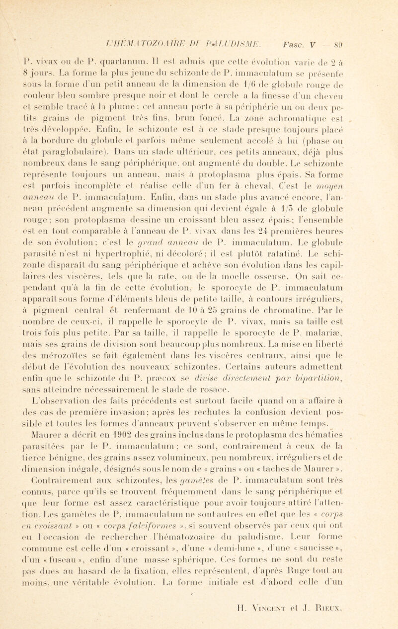 P. vivax ou de P. quarlanum. Il est admis que celle évolulion varie de 2 à 8 jours. La forme la plus jeune du schizonle de P. immaculalum se présente sous la forme d'un pelil anneau de la dimension de 1/6 de globule rouge de couleur bleu sombre presque noir el dont le cercle a la finesse d’un cheveu el semble tracé à la plume; cet anneau porte à sa périphérie un ou deux pe- lils grains de pigment très lins, brun foncé. La zone achromatique est 1res développée. Enfin, le schizonle est à ce stade presque toujours placé à la bordure du globule et parfois même seulement accolé à lui (phase ou ébat paraglobulaire). Dans un stade ultérieur, ces petits anneaux, déjà plus nombreux dans le sang périphérique, ont augmenté du double. Le schizonle représente toujours un anneau, mais à protoplasma plus épais. Sa forme esl parfois incomplète el réalise celle d’un fer à cheval. C’est le moyen anneau de P. immaculalum. Enfin, clans un stade plus avancé encore, l’an¬ neau précédent augmente sa dimension qui devient égale à I/o de globule rouge; son protoplasma dessine un croissant bleu assez épais-; l’ensemble est en tout comparable à l’anneau de P. vivax dans les 24 premières heures de son évolution ; c’est le grand anneau de P. immaculalum. Le globule parasité n’est ni hypertrophié, ni décoloré; il esl plutôt ratatiné. Le schi- zonte disparaît du sang périphérique et achève son évolution dans les capil¬ laires des viscères, tels (pie la rate, ou de la moelle osseuse. On sait ce¬ pendant qu'à la fin de celle évolution, le sporocyte de P. immaculalum apparaîtsous forme d’éléments bleus de pelile taille, à contours irréguliers, à pigment central et renfermant de 10 à 25 grains de chromatine. Par le nombre de ceux-ci, il rappelle le sporocyte de P. vivax, mais sa taille est trois fois plus pelite. Par sa taille, il rappelle le sporocyte de P. malariæ, mais ses grains de division sont beaucoup plus nombreux. La mise en liberté des mérozoïtes se fait égalemènt dans les viscères centraux, ainsi que le début de l’évolution des nouveaux schizonles. Certains auteurs admettent enfin que le schizonle du P. præeox se divise directement par bipartition, sans atteindre nécessairement le stade de rosace. L’observation des faits précédents est surtout facile quand on a affaire à des cas de première invasion; après les rechutes la confusion devient pos¬ sible et toutes les formes d’anneaux peuvent s’observer en même temps. Maurer a décrit en 1902 des grains inclus dans le protoplasma des hématies parasitées par le P. immaculatum ; ce sont, contrairement à ceux de la tierce bénigne, des grains assez volumineux, peu nombreux, irréguliers et de dimension inégale, désignés sous le nom de « grains » ou « taches de Maurer ». Contrairement aux schizontes, les gamètes de P. immaculatum sont très connus, parce qu’ils se trouvent fréquemment dans le sang périphérique et que leur forme est assez caractéristique pour avoir toujours attiré l’aitfen- lion. Les gamètes de P. immaculatum ne sonlaulres en effet que les « corps en croissant » ou « corps fa tri formes », si souvent observés par ceux qui ont eu l’occasion de rechercher l’hématozoaire du paludisme. Leur forme commune est celle d’un «croissant », d’une «demi-lune», d’une «saucisse», d'un «fuseau», enfin d’une masse sphérique. Ces formes ne sont du reste pas dues au hasard de la fixation, elles représentent, d’après Ruge tout au moins, une véritable évolulion. La forme initiale esl d’abord celle d un