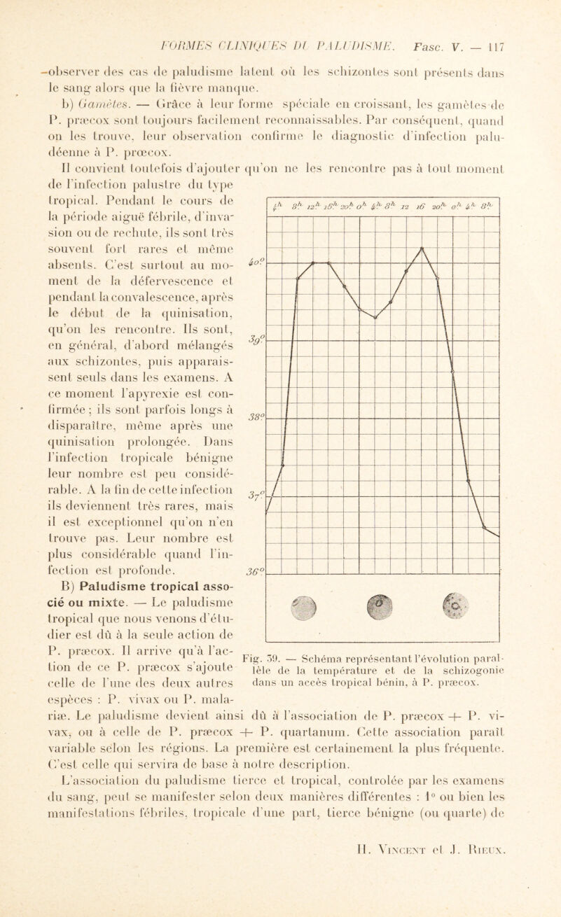 3N 38e 37\ 36° -observer des cas de paludisme la Lent ou les scliizonles sont présents dans le sang alors (pie la fièvre manque. b) Gamètes. — Grâce à leur forme spéciale en croissant, les gamètes de P. præcox sont toujours facilement reconnaissables. Par conséquent, quand on les trouve, leur observation confirme le diagnostic d’infection palu¬ déenne à P. præcox. Il convient toutefois d'ajouter qu’on ne les rencontre pas à tout moment de l’infection palustre du type tropical. Pendant le cours de la période aiguë fébrile, d'inva¬ sion ou de rechute, ils sont très souvent fort rares et même absents. C’est surtout au mo¬ ment de la défervescence et pendant la convalescence, après le début de la quinisation, qu’on les rencontre. Ils sont, en général, d’abord mélangés aux schizontes, puis apparais¬ sent seuls dans les examens. A ce moment l’apyrexie est con¬ firmée ; ils sont parfois longs à disparaître, même après une quinisation prolongée. Dans l’infection tropicale bénigne leur nombre est peu considé¬ rable. A la fin de cette infection ils deviennent très rares, mais il est exceptionnel qu’on n’en trouve pas. Leur nombre est plus considérable quand 1 in¬ fection est profonde. B) Paludisme tropical asso¬ cié ou mixte. — Le paludisme tropical que nous venons d’étu¬ dier est dû à la seule action de P. præcox. Il arrive qu’à fac¬ tion de ce P. præcox s’ajoute celle de l'une des deux autres espèces : P. vivax ou P. mala- riæ. Le paludisme devient ainsi dû à l’association de P. præcox H- P. vi¬ vax, ou à celle de P. præcox -+- P. quartanum. Cette association paraît variable selon les régions. La première est certainement la plus fréquente. C/est celle qui servira de base à notre description. L’association du paludisme tierce et tropical, contrôlée par les examens du sang, peut se manifester selon deux manières différentes : 1° ou bien les manifestations fébriles, tropicale d’une part, tierce bénigne (ou quarte) de U &L 12L isL 20^ 0^ //,L 8^- 12 16 20è oL 8'.u / 1 f 7 / N U-. Fig. 39. — Schéma représentant l’évolution paral¬ lèle de la température et de la schizogonie dans un accès tropical bénin, à P. præcox.