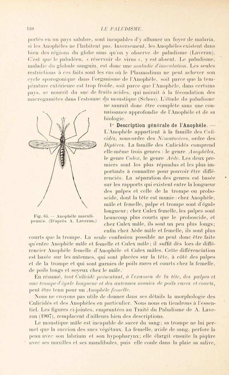 portés en un pays salubre, sont incapables d’y allumer un foyer de malaria, si les Anophèles ne l'habitent pas. Inversement, les Anophèles existent dans bien des régions du globe sans qu’on y observe de paludisme (Laveran). (Vest que le paludéen, « réservoir de virus », y est absent. Le paludisme, maladie du globule sanguin, est donc une maladie d'inoculation. Les seules restrictions à ces faits sont les cas où le Plasmodium ne peut achever son cycle sporogonique dans l’organisme de l’Anophèle, soit parce que la tem¬ pérature extérieure est trop froide, soit parce que l’Anophèle, dans certains pays, se nourrit du suc de fruits acides, qui nuirait à la fécondai ion des macrogamètes dans l’estomac du moustique (Schoo). L’étude du paludisme ne saurait donc être complète sans une con¬ naissance approfondie de l’Anophèle et de sa biologie. 1° Description générale de l’Anophèle. — L’Anophèle appartient à la famille des Culi- cidés, sous-ordre des Nématocères, ordre des Diptères. La famille des Cul ici dés comprend elle-même trois genres : le genre Anophèles, le genre Culex, le genre Aède. Les deux pre¬ miers sont les plus répandus et les plus im¬ portants à connaître pour pouvoir être diffé¬ renciés. La séparation des genres est basée sur les rapports qui existent entre la longueur des palpes et celle de la trompe ou probo- scide, dont la tête est munie : chez Anophèle, mâle et femelle, palpe et trompe sont d'égale longueur; chez Culex femelle, les palpes sont beaucoup plus courts que le proboscide, et chez Culex mâle, ils sont un peu plus longs; enfin chez Aède mâle et femelle, ils sont plus courts que la trompe. La seule confusion possible ne peut donc être faite qu’entre Anophèle mâle et femelle et Culex mâle; il suffit dès lors de diffé¬ rencier Anophèle femelle d’Anophèle et Culex mâles. Cette différenciation est basée sur les antennes, qui sont placées sur la tête, à côté des palpes et de la trompe et qui sont garnies de poils rares et courts chez la femelle, de poils longs et soyeux chez le mâle. En résumé, tout Culicidé présentant, à l'examen de la tète, des palpes et une trompe d'égale longueur et des antennes munies de poils rares et courts, peut être tenu pour un Anophèle femelle. Nous ne croyons pas utile de donner dans ses détails la morphologie des Culicidés et des Anophèles en particulier. Nous nous en tiendrons à l'essen¬ tiel. Les figures ci-jointes, empruntées au Traité du Paludisme de A. Lave¬ ran (1907), remplacent d’ailleurs bien des descriptions. Le moustique mâle est incapable de sucer du sang; sa trompe ne lui per¬ met que la succion des sucs végétaux. La femelle, avide de sang, perfore la peau avec son labrium et son hypopharynx; elle élargit ensuite la piqûre avec ses maxilles et ses mandibules, puis elle coule dans la plaie sa salive, Fig. 64. — Anophèle maculi- pennis. (D’après A. Laveran.)