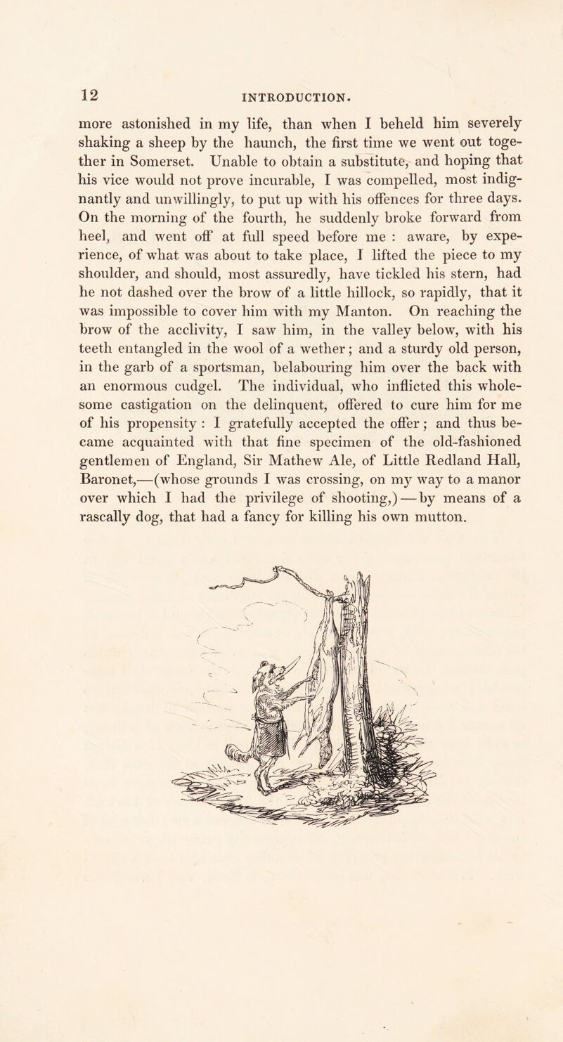 more astonished in my life, than when I beheld him severely shaking a sheep by the haunch, the first time we went out toge- ther in Somerset. Unable to obtain a substitute, and hoping that his vice would not prove incurable, I was compelled, most indig- nantly and unwillingly, to put up with his offences for three days. On the morning of the fourth, he suddenly broke forward from heel, and went off at full speed before me : aware, by expe- rience, of what was about to take place, I lifted the piece to my shoulder, and should, most assuredly, have tickled his stern, had he not dashed over the brow of a little hillock, so rapidly, that it was impossible to cover him with my Manton. On reaching the brow of the acclivity, I saw him, in the valley below, with his teeth entangled in the wool of a wether; and a sturdy old person, in the garb of a sportsman, belabouring him over the back with an enormous cudgel. The individual, who inflicted this whole- some castigation on the delinquent, offered to cure him for me of his propensity : I gratefully accepted the offer; and thus be- came acquainted with that fine specimen of the old-fashioned gentlemen of England, Sir Mathew Ale, of Little Redland Hall, Baronet,—(whose grounds I was crossing, on my way to a manor over which I had the privilege of shooting,) — by means of a rascally dog, that had a fancy for killing his own mutton.