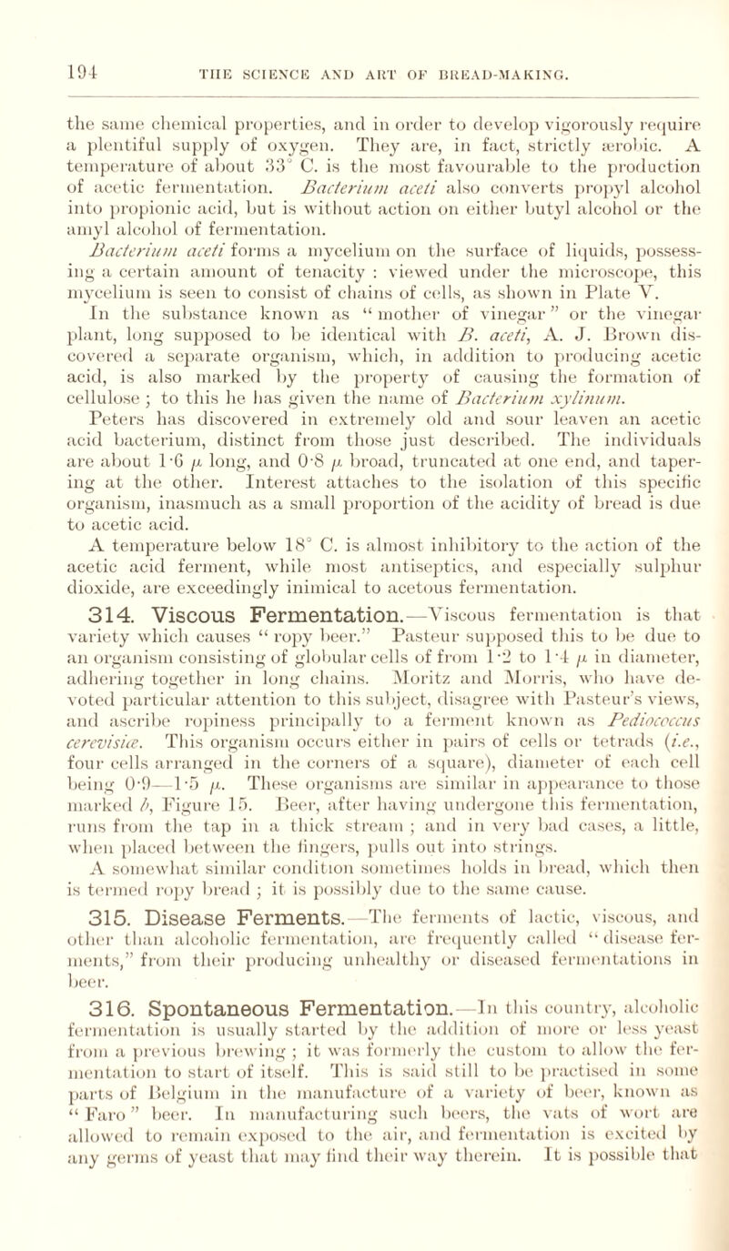 tlie same chemical properties, and in order to develop vi<,mrously i-etjuirc a plentiful supply of oxygen. They are, in fact, strictly lerohic. A temperature of about 33 C. is the most favourable to the production of acetic fermentation. Bacterium aceti also converts pro])yl alcohol into propionic acid, but is without action on either butyl alcohol or the amyl alcohol of fermentation. Bacterium aceti foi-nis a mycelium on the surface of liquids, possess¬ ing a certain amount of tenacity : viewed under the microscope, this mycelium is seen to consist of chains of cadis, as shown in Plate V. In the substance known as “ mother of vinegar ” or the vinegar plant, long supposed to be. identical with B. aceti, A. J. Jlrown dis¬ covered a separate organism, which, in addition to producing acetic acid, is also marked by the propert}’’ of causing the formation of cellulose ; to this he has given the name of Bacterium xyii?ium. Peters has discovered in e.xtremely old and sour leaven an acetic acid bacterium, distinct from those just descidbed. The individuals are about PG //, long, and 0'8 fi broad, truncated at one end, and taper¬ ing at the other. Interccst attaches to the isolation of this specific organism, inasmuch as a small ju’oportion of the acidity of bread is due to acetic acid. A temperature below 18° C. is almost inhibitory to the action of the acetic acid ferment, while most antiseptics, and especially sulphur dioxide, are exceedingly inimical to acetous fermentation. 314. Viscous Fermentation.—Viscous fermentation is that variety which causes “ I'opy beer.” Pasteur su)iposed this to be due to an orgajiism consisting of glol)ular cells of fr(jm 1J to P I /x in diameter, adhering together in long chains. Moritz and i\lori'is, who have de¬ voted particular attention to this subject, disagree with Pasteur’s views, and ascribe roinness principally to a fernumt known as Pediococcus cercvisiiC. This organism occurs either in pairs of cells or tetrads (/>., four cells arranged in the coi'iiers of a square), diameter of each cell being 0’9—P5 /x. These organisms are similar in appearance tt) those marked />, Figure 15. Peer, after having undergone this fermentation, runs from the tap in a thick stream ; and in very bad cases, a little, when placed between the finger.s, j)ulls out into strings. A somewhat similar condition sometimes holds in liread, which then is termed rojiy bread ; it is possibly due to the .same cause. 315. Disease Ferments. The ferments of lactic, viscous, and other than alcoholic fermentation, are frecjiiently calleil ‘‘disease fer¬ ments,” from their producing unhealthy or diseased fermentations in beer. 316. Spontaneous Fermentation. In this country, alcoholic fermentation is usually started hy the addition of more or less yeast from a previous brewing ; it was formerly tiu' custom to allow the fer¬ mentation to start of its(‘lf. This is .said still to be jiracti-sed in .some ])arts of Pelgium in the manufacturi' of a variety of bi'cr, known as “Faro” beei'. In manufacturing such Ix'ers, the vats of wort are allowed to remain exposed to the air, and fi'rmentation is excited by any germs of yeast that may tind their way therein. It is possible that