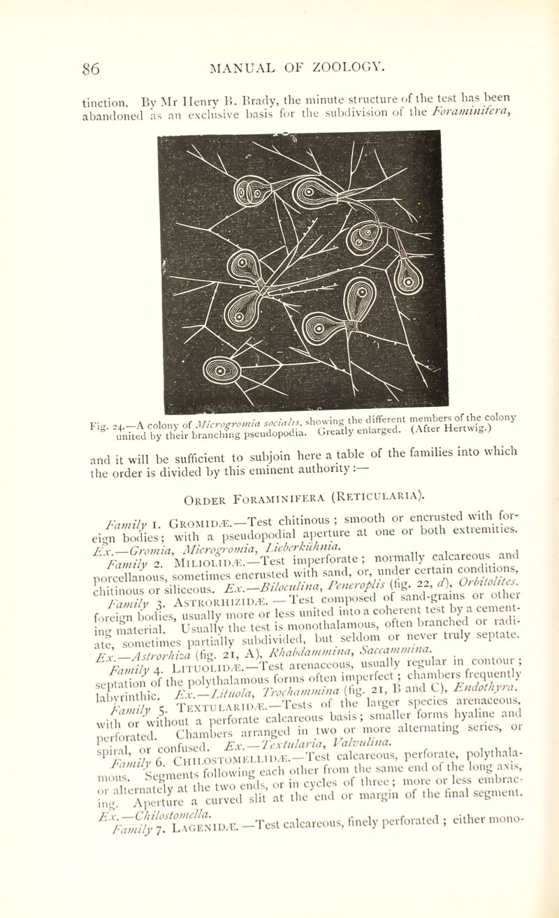 tinction. By Mr Ilenry 1!. Brady, the minute structure of the test has been abandoned as an exclusive basis for the subdivision of the Foraminitera, and it will be sufficient to subjoin here a table of the families into which the order is divided by this eminent authority. Order Foraminifera (Reticularia). Family i. Gromid.e.—Test chitinous ; smooth or encrusted with for¬ eign bodies; with a pseudopodial aperture at one or both extremities. Ex_Gromia, Microsrromia, Lieberkiihnici. Family- MilioiW.-Test imperforate; normally calcareous and norcellanous sometimes encrusted with sand, or, under certain conditions, chitinous or ihcTous. Ex.-Biloculina, Peneroplis (fig. 22, d), Or bitches. Familvl AstrorhiziD/E. - Test composed of sand-grams or other foreign bodies, usually more or less united into a coherent test by a cement- in,, material. Usuallv the test is monothalamous, often branched radi¬ ate,Sometimes partially subdivided, but seldom or never truly septate. _Astrorhiza (fig. 21, A), Rhabdammma, Saccammma. Family a Lrruoi.iD.-E.—-Test arenaceous, usually regular m contour; septationof the polythalamous forms often imperfect; chambers frequent y labvrinthic Ex.—Lituola, Trochammnta (fig- 21, B and C), Endothy a. FamUv\ '1'kxtular 1 n.E. —Tests of the larger species arenaceous widi or without a perforate calcareous basis; smaller forms hyaline and perforated. Chambers arranged in two or more alternating series, or spiral, or calcareous, perforate, polythala- ^sePmeJte following each other from the same end of the long axis, moiis. Segments touow Mg Qr jn ,es of lhree; more or less embrac¬ ing* A™e^ a curved slit’ at the end or margin of the final segment. EXFdmilylS. LAGENID.-E. -Test calcareous, finely perforated ; either mono-