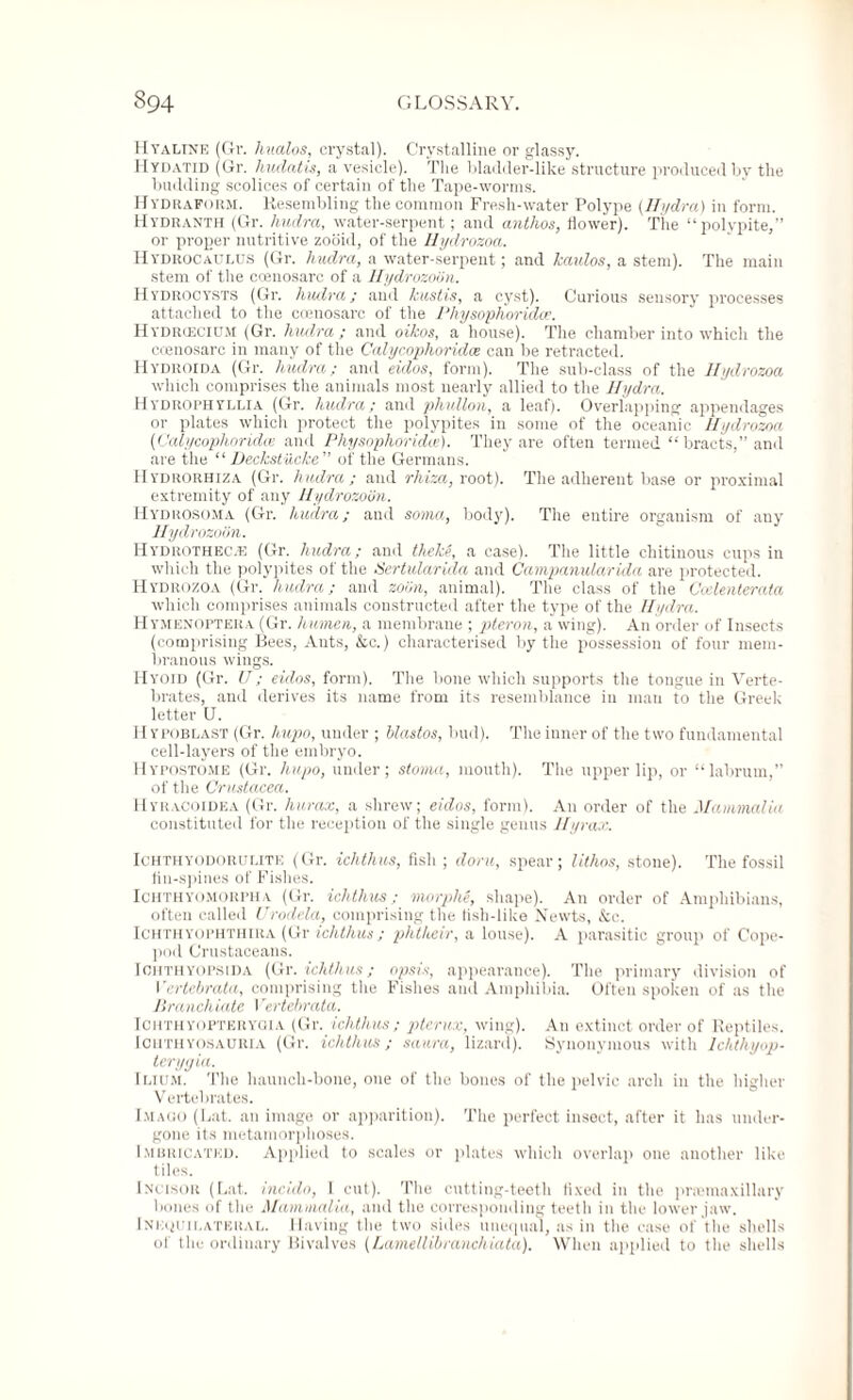 Hyaline (Gr. hualos, crystal). Crystalline or glassy. Hydatid (Gr. huclatis, a vesicle). The bladder-like structure produced by the budding scolices of certain of the Tape-worms. Hydraform. Resembling the common Fresh-water Polype (Hydra) in form. Hydranth (Gr. hudra, water-serpent; and anthos, flower). The “polypite,” or proper nutritive zociid, of the Hydrozoa. Hydrocaiilus (Gr. hudra, a water-serpent; and kaulos, a stem). The main stem of the coenosarc of a Hydrozoon. Hydrocysts (Gr. hudra; and kustis, a cyst). Curious sensory processes attached to the ccenosarc of the Physophoridce. Hydrcecium (Gr. hudra; and oikos, a house). The chamber into which the ccenosarc in many of the Calycophoridce can be retracted. Hydroida (Gr. hudra; and eidos, form). The sub-class of the Hydrozoa which comprises the animals most nearly allied to the Hydra. Hydrophyllia (Gr. hudra; and phuUon, a leaf). Overlapping appendages or plates which protect the polypites in some of the oceanic Hydrozoa (Calycophoridce and Physophoridce). They are often termed “bracts,” and are the “Deckstucke of the Germans. Hydrorhiza (Gr. hudra; and rhiza, root). The adherent base or proximal extremity of any Hydrozoon. Hydrosoma (Gr. hudra; and soma., body). The entire organism of any Hydrozoon. Hydrothec.e (Gr. hudra; and theke, a case). The little chitinous cups in which the polypites of the Sertularida and Campanularida are protected. Hydrozoa (Gr. hudra; and zoon, animal). The class of the Ccelenterata which comprises animals constructed after the type of the Hydra. Hymenoptera (Gr. humeri, a membrane ; pteron, a wing). An order of Insects (comprising Bees, Ants, &c.) characterised by the possession of four mem¬ branous wiugs. Hyoid (Gr. U; eidos, form). The bone which supports the tongue in Verte¬ brates, and derives its name from its resemblance in man to the Greek letter U. Hypoblast (Gr. hupo, under ; hlastos, bud). The inner of the two fundamental cell-layers of the embryo. Hypostome (Gr. hupo, under; stoma, mouth). The upper lip, or “labrum, of the Crustacea. Hyracoidea (Gr. hurax, a shrew; eidos, form). An order of the Mammalia constituted for the reception of the single genus Hyrax. Ichthyodorulite (Gr. ichthus, fish ; doru, spear; lithos, stone). The fossil fin-spines of Fishes. Ichthyomorph v (Gr. ichthus; morphe, shape). An order of Amphibians, often called Urodela, comprising the fish-like Newts, &c. Ichthyophthira (Gr ichthus; phtheir, a louse). A parasitic group of Cope- pod Crustaceans. Ichthyopsida (Gr. ichthus; opsis, appearance). The primary division of Vertehrata, comprising the Fishes and Amphibia. Often spoken of as the Branch iate Vertehrata. Ichthyofterygia (Gr. ichthus ; pterux, wing). An extinct order of Reptiles. Icuthyosauria (Gr. ichthus; saura, lizard). Synonymous with Ichthyop- terygia. Ilium. The haunch-bone, one of the bones of the pelvic arch in the higher Vertebrates. Imago (Lat. an image or apparition). The perfect insect, after it has under¬ gone its metamorphoses. Imbricated. Applied to scales or plates which overlap one another like tiles. Incisor (Lat. inciilo, 1 cut). The cutting-teeth fixed in the prcemaxillary bones of the Mammalia, and the corresponding teeth in the lower jaw. Inequilateral. Having the two sides unequal, as in the case of the shells of the ordinary Bivalves (Lamellibranchiata). When applied to the shells
