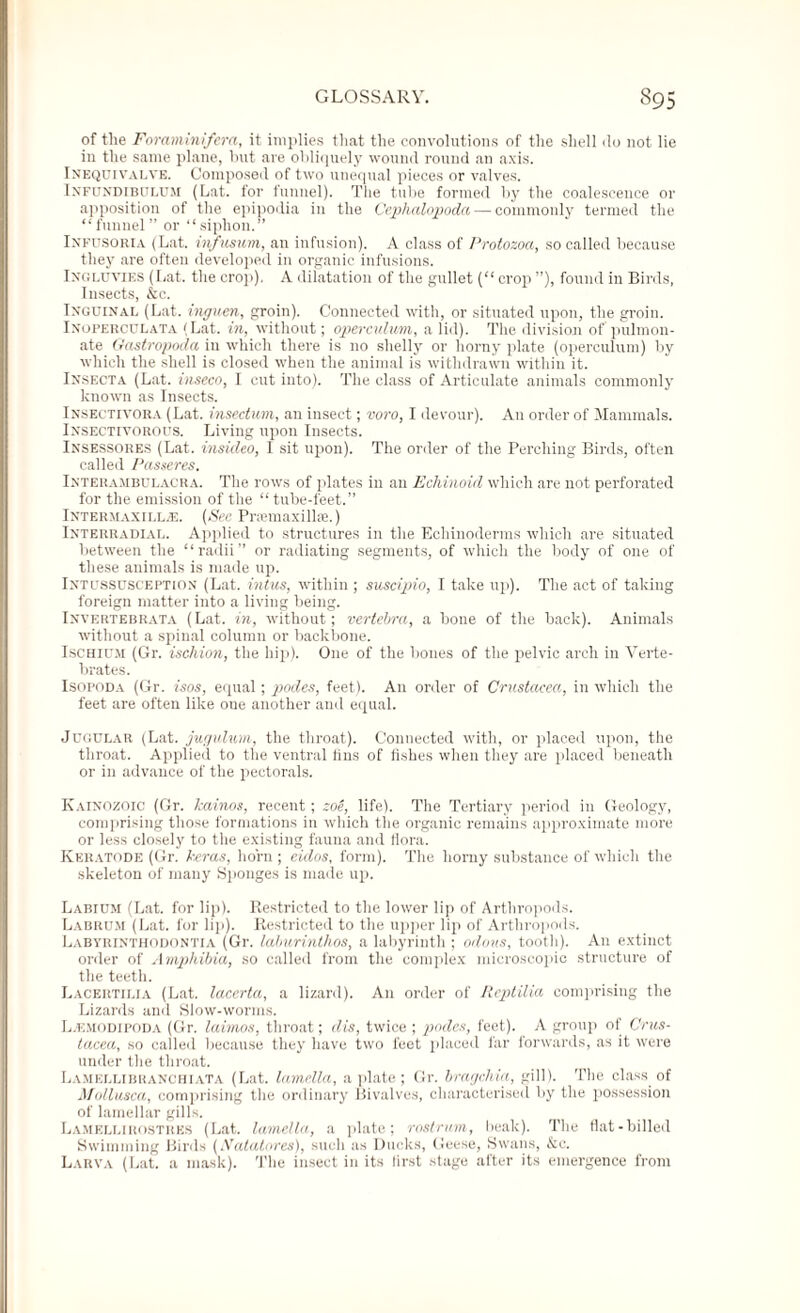 of the Foramini/era, it implies that the convolutions of the shell do not lie in the same plane, but are obliquely wound round an axis. Inequivalve. Composed of two unequal pieces or valves. Infundibulum (Lat. for funnel). The tube formed by the coalescence or apposition of the epipodia in the Cephalopoda — commonly termed the “funnel” or “siphon.” Infusoria (Lat. infusum, an infusion). A class of Protozoa, so called because they are often developed in organic infusions. Ingluvies (Lat. the crop). A dilatation of the gullet (“ crop ”), found in Birds, Insects, &c. Inguinal (Lat. inguen, groin). Connected with, or situated upon, the groin. Inoperculata (Lat. in, without; operculum, a lid). The division of pulmon- ate Gastropoda in which there is no shelly or horny plate (operculum) by which the shell is closed when the animal is withdrawn within it. Insecta (Lat. inseco, I cut into). The class of Articulate animals commonly known as Insects. Insectivora (Lat. insectum, an insect; voro, I devour). An order of Mammals. Insectivorous. Living upon Insects. Insessores (Lat. insideo, I sit upon). The order of the Perching Birds, often called Passeres. Interambulacra. The rows of plates in an Echinoid which are not perforated for the emission of the “ tube-feet.” Intermaxill/E. (See Pnemaxilke.) Interradial. Applied to structures in the Echinoderms which are situated between the “radii” or radiating segments, of which the body of one of these animals is made up. Intussusception (Lat. intus, within ; suscipio, I take up). The act of talcing foreign matter into a living being. Invertebrata (Lat. in, without; vertebra, a bone of the back). Animals without a spinal column or backbone. Ischium (Gr. ischion, the hip). One of the bones of the pelvic arch in Verte¬ brates. Isopoda (Gr. isos, equal; podes, feet). An order of Crustacea, in which the feet are often like oue another and equal. Jugular (Lat. jugulum, the throat). Connected with, or placed upon, the throat. Applied to the ventral tins of fishes when they are placed beneath or in advance of the pectorals. Kainozoic (Gr. kainos, recent; zoe, life). The Tertiary period in Geology, comprising those formations in which the organic remains approximate more or less closely to the existing fauna and flora. Keratode (Gr. h-eras, horn ; eidos, form). The horny substance of which the skeleton of many Sponges is made up. Labium (Lat. for lip). Restricted to the lower lip of Arthropods. Labrum (Lat. for lip). Restricted to the upper lip of Arthropods. Labyrinthodontia (Gr. laburinthos, a labyrinth ; odons, tooth). A11 extinct order of Amphibia, so called from the complex microscopic structure of the teeth. Lacertilia (Lat. lacerta, a lizard). An order of Reptilia comprising the Lizards and Slow-worms. LjEMCidipoda (Gr. laimos, throat; dis, twice ; podes, feet). A group of Crus¬ tacea, so called because they have two feet placed far forwards, as it were under the throat. Lamellibranchiata (Lat. lamella, a plate; Gr. bragchia, gill). The class of Mollusca, comprising the ordinary Bivalves, characterised by the possession of lamellar gills. Lamellirostiiks (Lat. lamella, a plate; rostrum, Imak). The flat-billed Swimming Birds (Natatores), such as Ducks, Geese, Swans, &c. Larva (Lat. a mask). The insect in its first stage after its emergence from