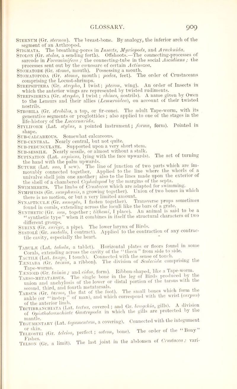 Sternum (Gr. sternon). The breast-bone. By analogy, the inferior arch of the segment of an Arthropod. Stigmata. The breathing-pores in Insects, Myriopods, and Arachnida. Stolon (Gr. stolos, a sending forth). Offshoots.—The connecting-processes of sarcode in Foraminifera ; the connecting-tube in the social Ascidians ; the processes sent out by the copnosarc of certain Actinozoa. Stomatodf. (Gr. stoma, mouth). Possessing a mouth. Stomatopoda (Gr. stoma, mouth; podes, feet). The order of Crustaceans comprising the Locust-shrimps. Stkepsiptera (Gr. streplio, I twist; pteron, wing). An order of Insects in which the anterior wings are represented by twisted rudiments. Strepsirhina (Gr. streplio, 1 twist; rhines, nostrils). A name given by Owen to the Lemurs and their allies (Lemuroitlea), on account of their twisted nostrils. Strobila (Gr. strobilos, a top, or fir-cone). The adult Tape-worm, with its generative segments or proglottides ; also applied to one ol the stages in the life-history of the Lucernarida. Styliform (Lat. stylus, a pointed instrument; forma, form). Pointed in shape. Sub-calcareous. Somewhat calcareous. Sub-central. Nearly central, but not quite. Sub-pedunculate. Supported upon a very short stem. Sub-sessile. Nearly sessile, or almost without a stalk. Supination (Lat. supinus, lying with the face upwards). The act of turning the hand with the palm upwards. Suture (Lat. suo, I sew). The line of junction of two parts which are im¬ movably connected together. Applied to the line where the whorls of a univalve shell join one another; also to the lines made upon the extenoi of the shell of a chambered C'ephalopod by the margins of the septa. Swimmerets. The limbs of Crustacea which are adapted tor swimming. Symphysis (Gr. sumphusis, a growing together). Union of two bones in which there is no motion, or but a very limited amount. Synapticul./e (Gr. sunapto, I fasten together). Transverse props sometimes found in corals, extending across the loculi like the bars of a grate. Synthetic (Gr. sun, together ; tilhemi, I place). An animal is said to lie a “synthetic type” when it combines in itself the structural characters ot two different groups. Syrinx (Gr. surigx, a pipe). The lower larynx of Birds. SYSTOLfi (Gr. sustetio, I contract). Applied to the contraction of any contrac¬ tile cavity, especially the heart. Tabulje (Lat. tabula, a tablet). Horizontal plates or floors found in some Corals, extending across the cavity of the “theca ” from side to side. TACTlLE fLat. tango, I touch). Connected with the sense of touch. T.kniada (Gr. tainia, a ribbon). The division of Scolecida comprising the ' fnioid (Gr. tainia; and eidos, form). Ribbon-shaped, like a Tape-worm. Arso-metatarsus. The single bone in the leg of Birds produced by the union and anchylosis of the lower or distal portion ot the tarsus with the second third, nnd fourth mctritiiiscils. . . „ .. ahsus (Gr. tarsos, the flat of the foot). The small bones which form the ankle (or “instep” of man), and which correspond with the wrist (carpus) of the anterior limb. , _ , ,. . » division ECTIBRANCHIATA (Lat. tcclus, covered; and Gr. bragchia, gills). A division of Opisthobranchiate Gastropoda in which the gills are protected by the egumentary (Lat. tegumentuin, a covering). Connected with the integument 'eleostei (Gr. leleios, perfect; osteon, bone). The order of the “Bony” 'ELSONS(Gr. a limit). The last joint in the abdomen of Crustacea: van-