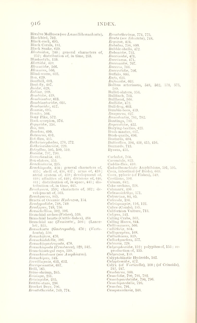 Bivalve Molluscs (see Lamellibranchiata), Blackbird, 702. Black-cock, 695. Black Corals, 181. Black Snake, 629. Blustoidea, 240: general characters of, 252; distribution of, in time, 253. Blastostyle, 139. Blattidce, 409. Blenui idee, 506. Blcnnius, 566. Blind-worm, 033. Boa, 629. Boatbill, 091. Boat-fly, 407. Bo idee, 029. Bolinet, 209. Bo mb idee, 419. Bombinator, 003. Bombinatoridee, 003. Boinbycidce, 417. Bonasa, 695. Bonito, 506. Bony Pike, 572. Book-scorpion, 370. Bopyridee, 350. Bos, SOU. Bosch as, 690. Botciurus, 691. Bot-flies, 415. Bothriocepheilus, 270, 272. Bothriocidaridee, 229. Bofryllus, 505, 509, 510. Bov idee, 797, 799. Boiverbankia, 431. Box-slaters, 355. B retch iota r i a, 235. Brachiopoda, 424; general characters of, 435; shell of, 430, 437 ; arms of, 43S; atrial system of, 439; development of, 440; affinities of, 440 ; divisions of, 440, 441 ; distribution of, in space, 441; dis¬ tribution of, in time, 443. Brochyvrei, 359; characters of, 362; de¬ velopment of, 363. Bretchyurus, S05. Bracts of Oceanic Jlydrozoa, 154. Bradypoeliclee, 748, 749. Brady pus, 749, 750. Branchcllion, 302, 306. Branchial arches (Fishes), 539. Branchial hearts (Cuttle-fishes), 4S4 Branchial sac (Tunicata), 500 ; (Lance- let, 555. Bremchiatei (Gastropoda), 470; ( Verte¬ bral et), 530. B ranch if era-, 470. Branchiobdella, 300. /Ira nch ioyastropoela, 470. Branchiopoda (Crustacea), 329, 342. Branchiostegal rays, 539. Branchiostoma (see A mphioxus). Branch ipus, 345. Brcrilinyuia, 631, 632. Brcvipennatee, 6S7. Brill, 505. Brine-shrimp, 345. Brisinyei, 231. Brisiuyidee, 235. Brittle-stars, 230. Brocket Deer, 790. Brontothcrielev, 709, 774. Brontotherium, 774, 775. Brata (see Edentata), 74S. Bryozoa, 424. Bubalus, 79S, S00. Bubble-shells, 472. Bubonidee, 712. Buccimelee, 471. Buccinum, 471. Buccemielee, 707. Buccros, 700. Bucevotidee, 706. Buffalo, 800. Bn/o, 003. Bufonidce, 603. Bulbus arteriosus, 54S, 562, 570, 575, 589. Bullet-slaters, 356. Bullfinch, 703. Bullhead, 500. Butlidee, 472. Bull-frog, 603. Bumble-bees, 419. Bungarus, 627. Bunodontia, 7S1, 7S2. Buntings, 703. Buprestidee, 422. Burying-beetles, 423. Bush-master, 027. Bush-quails, 696. Bustards, 694. Butterflies, 394, 400, 415, 410. Buzzards, 713. Byssus, 451. Cachalot, 704. Cacomixle, S23. Caddis-flies, 410. Caducibranchiate Amphibians, 591, 595. Creca, intestinal (of Birds), 669. C;eea, pyloric (of Fishes), 549. Ciecilians, 596. Caiman, 642. Cake-urchins, 22S. Calamarv, 490. Ca la menchthys, 571. Calcarina, 84, 85. Calceola, 196. Calc ispemg ice, 110, 122. Cal ice (Corals), ls5. Californian Vulture, 713. Caliyus, 341. Calling Crabs, 303. Calling Hares, S44. Callionymuti, 560. ( allithrix, 804. C alloy rapt us, 168. Callorhinus, 819. Callorhynchus, 577. Caloeria, 228. Calycophoridce, 152; polypitesof, 153 ; re¬ production of, 155. Calycozoa, 159. Calyptoblastic ITydroids, 142. Calyptneiche, 472. Calyx (of Vorticellci), 100 ; (of Crinoids), 242, 247. Cambarus, 300. Ca no d idee, 790, 791, 792. CamclopardetUdee, 790, 790. Camelopardalis, 790. Cano lus, 791. Campanularia, 148.