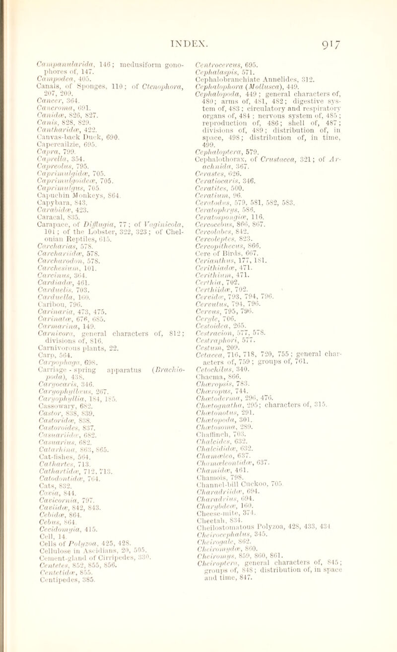 Campanularida, 146; medusifonn gono- phores of, 147. Campodea, 405. Canals, of Sponges, 110; of Ctenophora, 207, 209. Cancer, 364. Cancroma, (501. Canidce, S26, 827. Conis, S2S, 829. Cantharidce, 422. Canvas-back Puck, 690. Capercailzie, 695. Capra, 799. Caprella, 354. Capreolus, 795. Caprimulgidce, 705. Capri mulgoulece, 705. Caprimulgus, 705 Capuchin Monkeys, S64 Capybara, 843. Car ait idee, 423. Caracal, S35. Carapace, of Difflugia, 77; of Vaginicola, 101 ; of the Lobster, 322, 323; of Chel- onian Reptiles, 615. Carch arias, 57S. Carchariidce, 57S. Carcharodon, 578. Carchesium, 101. Care in us, 364. Card i ad re, 461. Carduelis. 703. Car duello, 160. Caribou, 796. Car inaria, 473, 475. Carinatce, 676, 685. Carmarina, 149. Carnivora, general characters of, 812; divisions of, 816. Carnivorous plants, 22. Carp, 564. Carpophaga, 60s. Carriage - spring apparatus (Brachio- poda), 438. Caryocaris, 346. CaryophyIleus, 267. Caryophyllia, 184, 185. Cassowary, 682. Castor, 838, 839. Cast or idee, 838. Castoroidcs, S37. Casuariid<e, 682. Casuarius, 682. Catarhina. 863, 865. Cat-lishes, 564. Cathartes, 713. Cathartidee, 712, 713. Catodontidee, 764. Cats, 832. Cavia, 84 4. Cavicornia, 797. Caviidce, 842, 843. Cebidce, 864. Cebus, 864. Cecidomyia, 415. Cell, 14. Cells of Polyzoa, 425, 428. Cellulose in Ascidians, 20, 505. Cement-gland of Cirripedes, 330. Centetes, 852, 855, 856. Ccntetidee, 855. Centipedes, 385. Centrocereus, 695. Cephalaspis, 571. Cephalobranchiate Annelides, 312. Cephalnphora (MoUusca), 449. Cephalopoda, 449 ; general characters of, 480; arms of, 481, 482; digestive sys¬ tem of, 483 ; circulatory and respiratory organs of, 484 ; nervous system of, 4S5 ; reproduction of, 4S6; shell of, 487 ; divisions of, 489; distribution of, in space, 498; distribution of, in time, 499. Cephaloptera, 579. Cephalothorax, of Crustacea, 321; of Ar* achnida, 367. Cerastes, 626. Ceratiocaris, 346. Ceratites, 500. Ceratium, 96. Ceratodvs, 579, 5S1, 5S2, 5S3. Ceratoph rys, 5S6. Ceratospong ice, 116. Cercocebus, 866, SG7. Cercolabes, 842. Cercoleptes, 823. Ce.rcopithecus, 866. Cere of Birds, 667. Cerianthus, 177, 181. Cerithiadce, 471. Cerithium, 471. Certhia, 702. Cert hi idee, 702. Cervida', 793, 794, 796. Cervulus, 794, 796. Cervus, 795, 796. Ceryle, 700. Cestoidca, 265. Cestradon, 577, 57S. Cestraphori, 577. Cestuni, 209. Cetacea, 716,718, 720, 755; general char¬ acters of, 759 ; groups of, 761. Cetochilus, 340. C haem a, 866. Clueropsis, 783. Chceropus, 744. Chcetodcrnia, 296, 476. Cheetognatha, 295; characters of, 315. Chcetonotus, 291. Cheetopoda, 301. Choetosoma, 2S9. Chaffinch, 703. C hale ides, 632. Chalcididce, 632. Chameeleo, 637. Chamatleontidce, 637. Cham idee, 461. Chamois, 798. Channel-bill Cuckoo, 705 Ch a radr i a I ee, 694. Charadeiax, 694. Charybdece, 160. Cheese-mite, 374. Cheetah, 834. Cheilostomatous Polyzoa, 42S, 433, 434 Ch e iraceph a I as, 345. Chciroyale, 862. Cheirontydce, 860. Cheirantys, 859, 860, 861. Cheiroptera, general characters of, 845; groups of, 84S; distribution of, in space and time, 847.