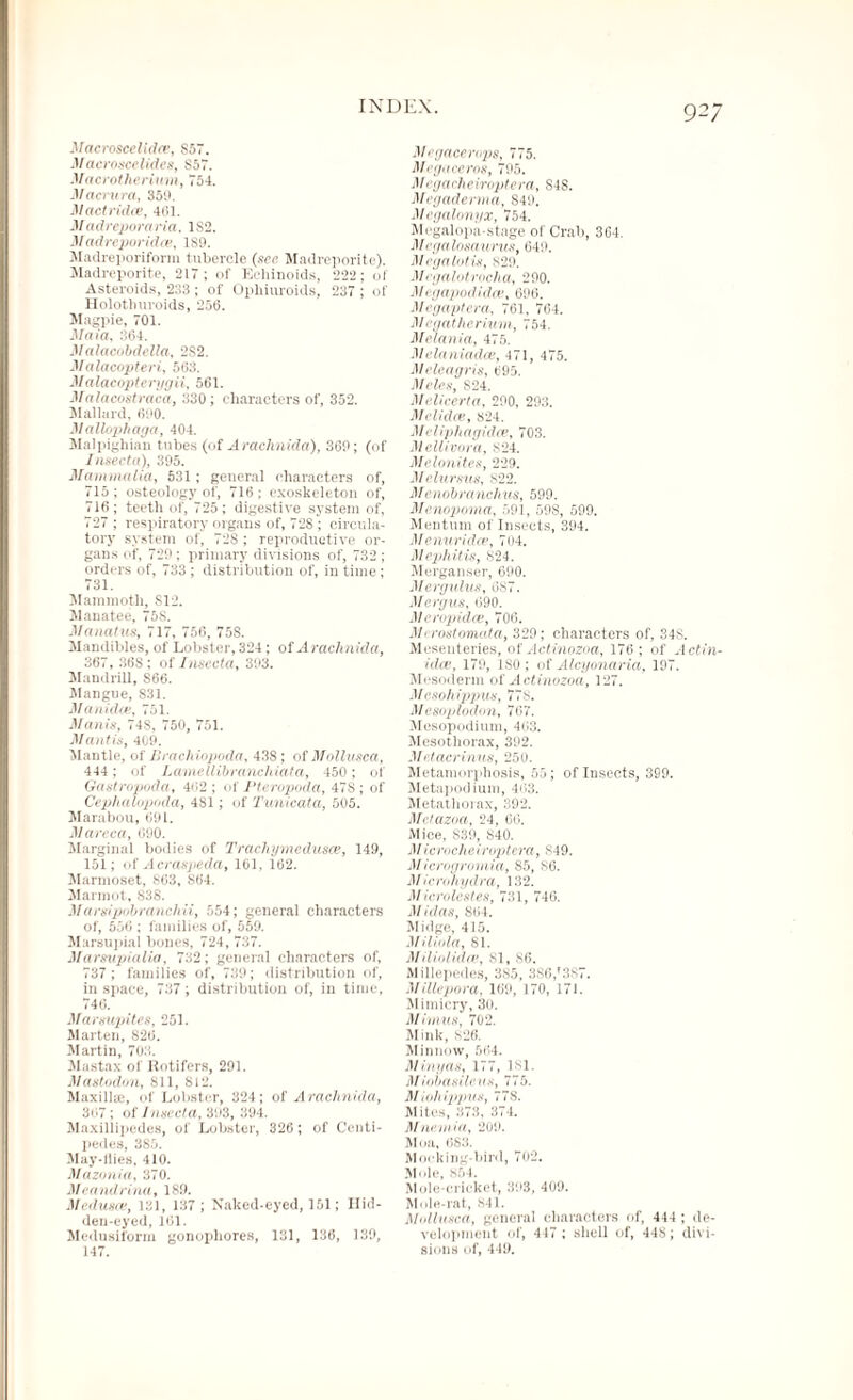 Macroscelidce, S57. Macroscelides, 857. Macrotherium, 754. Maerura, 350. jMactridce, 461. Madreporaria. 182. Madreporidce, 1S9. Madreporiform tubercle (see Madreporite). Madreporite, 217; of Echinoids, 222; of Asteroids, 233; of Ophiuroids, 237 ; of Holothuroids, 256. Magpie, 701. Maia, 364. M alacobdella, 2S2. Malacopteri, 563. Malacopterygii, 561. Malacostraca, 330; characters of, 352. Mallard, 690. Mallophaga, 404. Malpighian tubes (of Arachnida), 360; (of Insect a), 395. Mammalia, 531; general characters of, 715; osteology of, 716; cxoskeleton of, 716; teeth of, 725; digestive system of, 727 ; respiratory organs of, 72S ; circula¬ tory system of, 72S ; reproductive or¬ gans of, 729 ; primary divisions of, 732 ; orders of, 733 ; distribution of, in time; 731. Mammoth, S12. Manatee, 75S. Manatus, 717, 756, 75S. Mandibles, of Lobster, 324 ; of A rachnida, 367, 36S; of Insecta, 393. Mandrill, S66. Mangue, 831. Manidce, 751. Manis, 748, 750, 751. Mantis, 409. Mantle, of Brachiopoda, 438 ; of Mollusca, 444 ; of LarneUibranchiata, 450 ; of Gastropoda, 462 ; of I’teropoda, 47S; of Cephalopoda, 481; of Tunicata, 505. Marabou, 691. Mareca, 690. Marginal bodies of Trachymedusce, 149, 151; of A craspeda, 161, 162. Marmoset, 863, 864. Marmot, 838. Marsipobranchii, 554; general characters of, 556 ; families of, 559. Marsupial bones, 724, 737. Marsupialia, 732; general characters of, 737; families of, 739; distribution of, in space, 737; distribution of, in time, 146. Marsupites, 251. Marten, S26. Martin, 703. Mastax of Rotifers, 291. Mastodon, 811, 812. Maxillae, of Lobster, 324; of Arachnida, 367 ; of Insecta, 393, 394. Maxillipedes, of Lobster, 326; of Centi¬ pedes, 385. May-flies, 410. Mazonia, 370. Meandrina, 189. Medusas, 131, 137 ; Naked-eyed, 151; Hid¬ den-eyed, 161. Medusiform gonopliores, 131, 136, 139, 147. 927 Mcgacemps, 775. Megaceros, 795. Mcgaclieiroptera, S48. Megaderma, 849. Megalonyx, 754. Megalopa-stage of Crab, 364. Megalosaurus, 649. Mrgalotis, s29. Mcgalotrncha, 290. Megapodidce, 696. Megaptera, 761, 764. Megatherium, 754. Melania, 475. M elaniadce, 471, 475. Meleagris, 695. Moles, S24. Melicerta, 290, 293. Melidce, 824. Meliphagidce, 703. Mcllivora, 824. Melonites, 229. Melursus, x22. Mcnobranchus, 599. Menopoma, 591, 59S, 599. Mentum of Insects, 394. Menuridce, 704. Mephitis, 824. Merganser, 690. Mcrgulus, 6S7. Mergus, 690. Meropidce, 706. Mi rostomata, 329; characters of, 348. Mesenteries, of Actinozoa, 176; of Actin- idoe, 179, ISO ; of Alcyonaria, 197. Mesoderm of Actinozoa, 127. Mcsohippus, 778. Mesoplodon, 767. Mesopodium, 463. Mesotliorax, 392. Mctacrinus, 250. Metamorphosis, 55; of Insects, 399. Metapodium, 463. Metathorax, 392. Metazoa, 24, 66. Mice, 839, 840. Microcheiroptera, 849. M icrogromia, 85, 86. Microhydra, 132. Microlestes, 731, 746. M litas, 864. Midge, 415. Miliola, SI. Miliolidas, 81, 86. Millepedes, 3S5, 386,'387. Millepora, 169, 170, 171. Mimicry, 30. Minins, 702. Mink, 826. Minnow, 564. Minyas, 177, 181. Miobasileus, 775. Miohippus, 77S. Mites, 373, 374. Milo alia, 209. Moa, 6S3. Mocking-bird, 702. Mole, 854. Mole-cricket, 393, 409. Mole-rat, 841. Mollusca, general characters of, 444 ; de¬ velopment of, 447 ; shell of, 448; divi¬ sions of, 449.