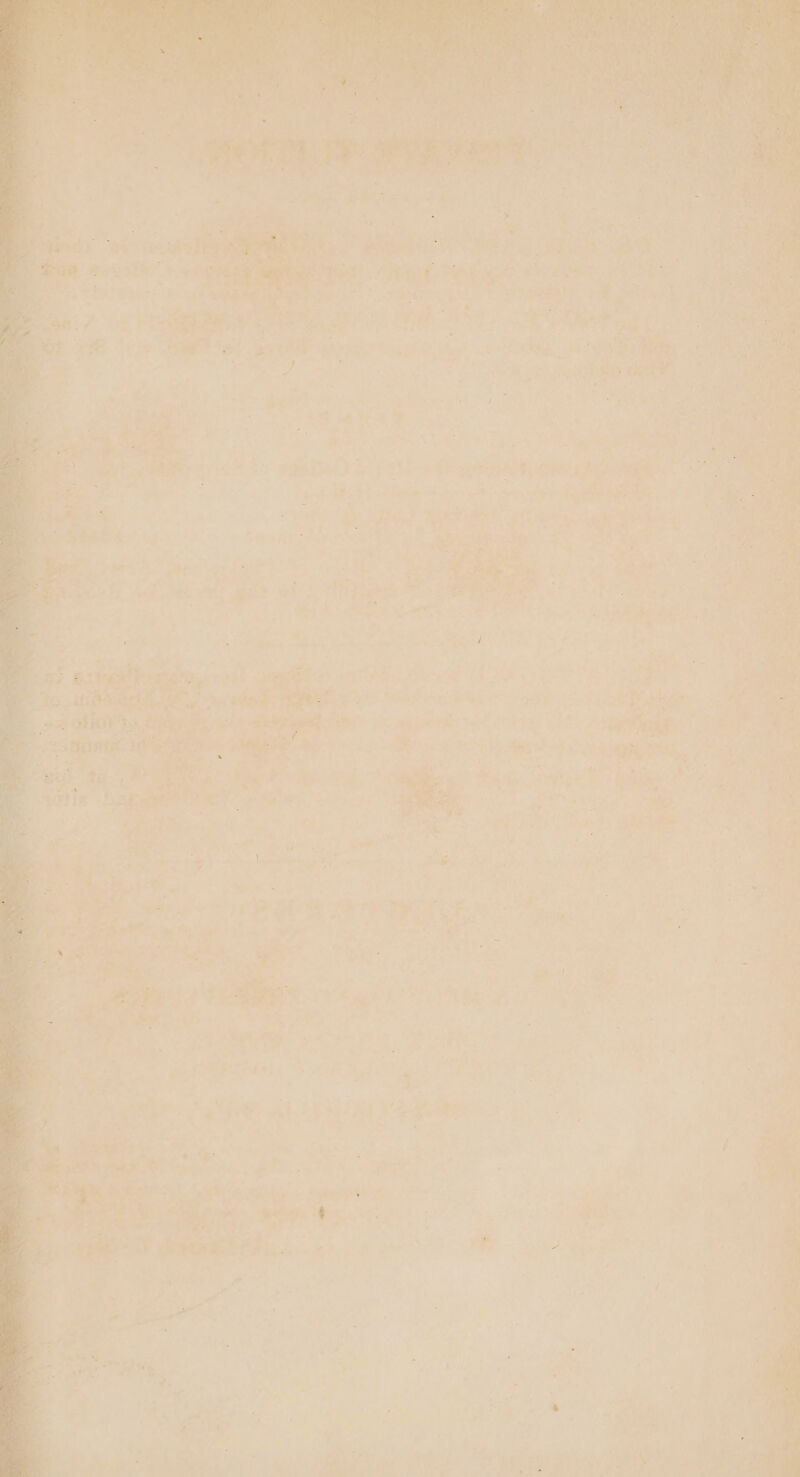 Lone A acai te, a a er a