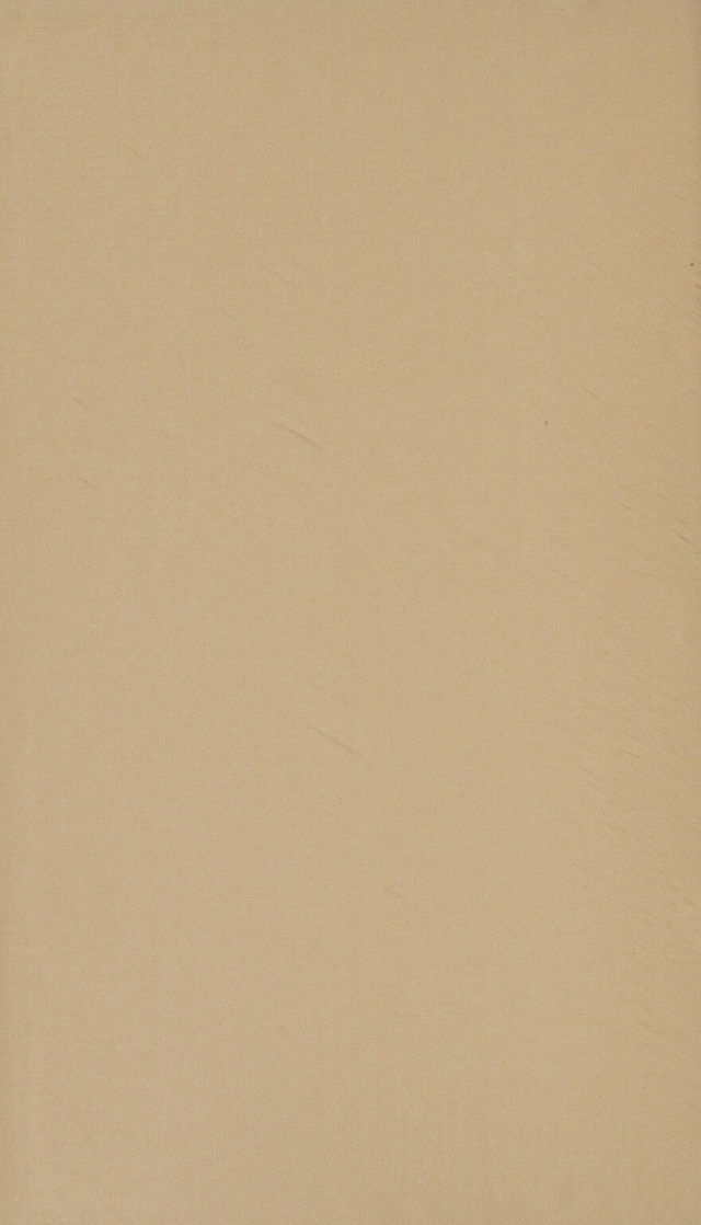 digitised image 2
