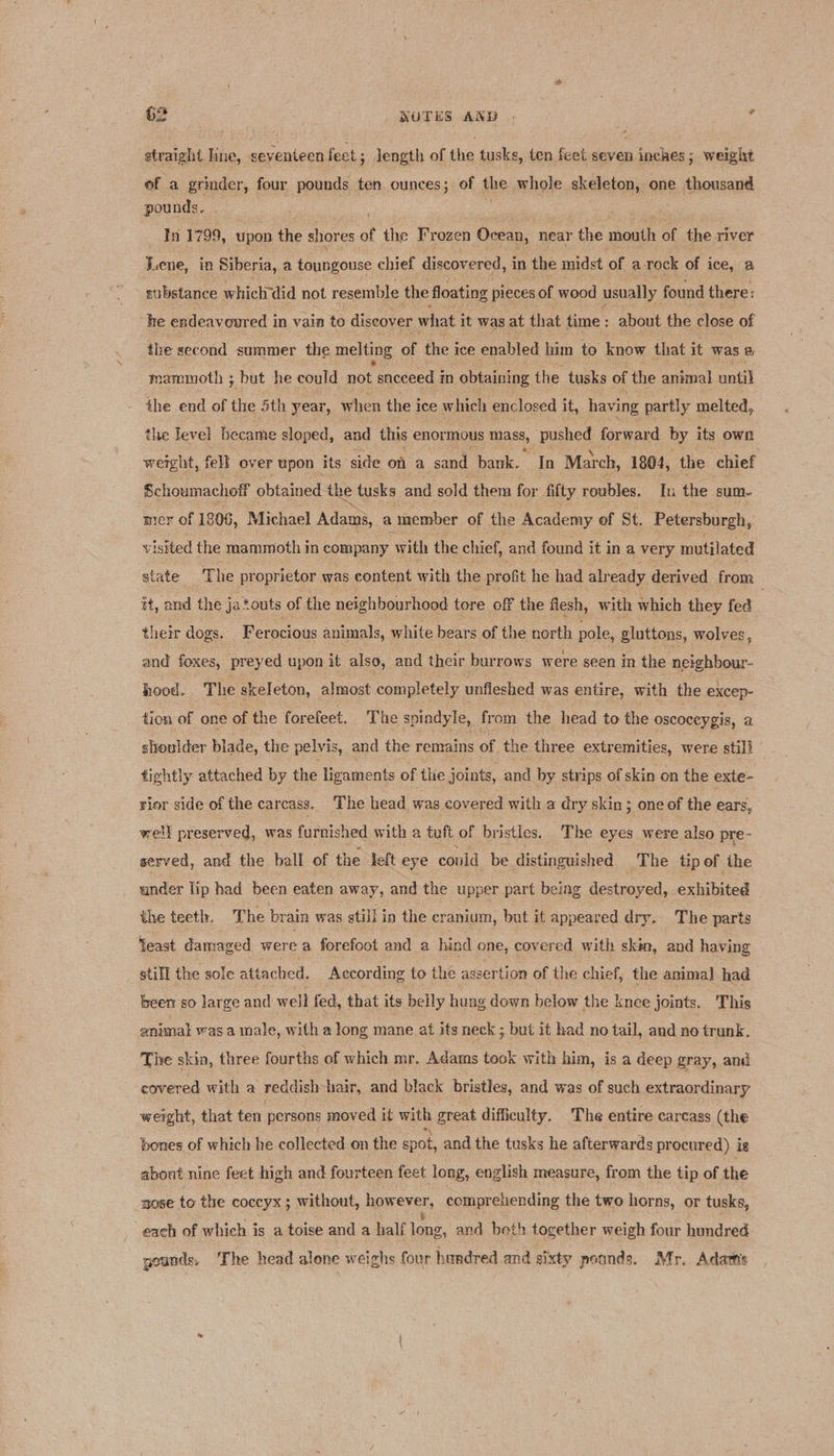 straight line, seventeen feet ; ; length of the tusks, ten feet seven inches; weight of a grinder, four pounds ten ounces; of the whole skeleton, one thousand pounds. In 1799, upon the shores of the Frozen Ocean, near the mouth of the river Lene, in Siberia, a toungouse chief discov ered, in the midst of a rock of ice, a sulistance which did not resemble the floating pieces of wood usually found there: he endeavoured in vain to discover what it was at that time: about the close of the second summer the melting of the ice enabled him to know that it was &amp; mammoth ; but he could not sneceed in obtaining the tusks of the animal until the end of the Sth year, when the ice which enclosed it, having partly melted, the level became sloped, and this enormous a, pused forward by its own weight, fell over upon its side on a sand bank. In Mar ch, 1804, the chief Schoumachoff obtained the tusks and sold them for fifty roubles. In the sum- mer of 1806, Michael Adams, a member of the Academy of St. Petersburgh, visited the mammoth in company with the chief, and found it ina very mutilated state The proprietor was content with the profit he had already derived from it, and the jatouts of the neighbourhood tore off the flesh, with which they fed | their dogs. Ferocious animals, white bears of the north pole, gluttons, wolves, and foxes, preyed upon it also, and their burrows were seen in the neighbour- hood. The skeleton, almost completely unfleshed was entire, with the excep- tion of one of the forefeet. The spindyle, from the head to the oscoceygis, a shonider blade, the pelvis, and the remains of the three extremities, were still tightly attached by the ligaments of thie joints, and by strips of skin on the exte- rior side of the carcass. The head was covered with a dry skin ; one of the ears, well preserved, was furnished with a tuft of bristles. The eyes were also pre- served, and the ball of the left eye could be distinguished The tip of the under lip had been eaten away, and the upper part being destroyed, exhibited the teeth. The brain was still in the cranium, but it appeared dry. The parts Teast damaged were a forefoot and a hind one, covered with skin, and having still the sole attached. According to the assertion of the chief, the animal had been so large and well fed, that its belly hung down below the knee joints. This animat was.a male, with a long mane at its neck ; but it had no tail, and no trunk. The skin, three fourths of which mr. Adams took with him, is a deep gray, and covered with a reddish hair, and black bristles, and was of such extraordinary werght, that ten persons moved it with great difficulty. The entire carcass (the bones of which he collected on the spot, and the tusks he afterwards procured) i ig about nine feet high and fourteen feet long, english measure, from the tip of. the wose to the COCCYX } without, however, comprehending the two horns, or tusks, each of which is a toise and a half long, and both together weigh four hundred. gounds, The head alone weighs four hundred and eixty pounds. Mr, Adaris