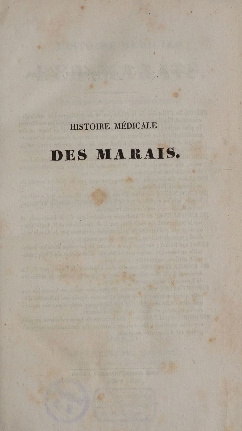DES MARAIS.