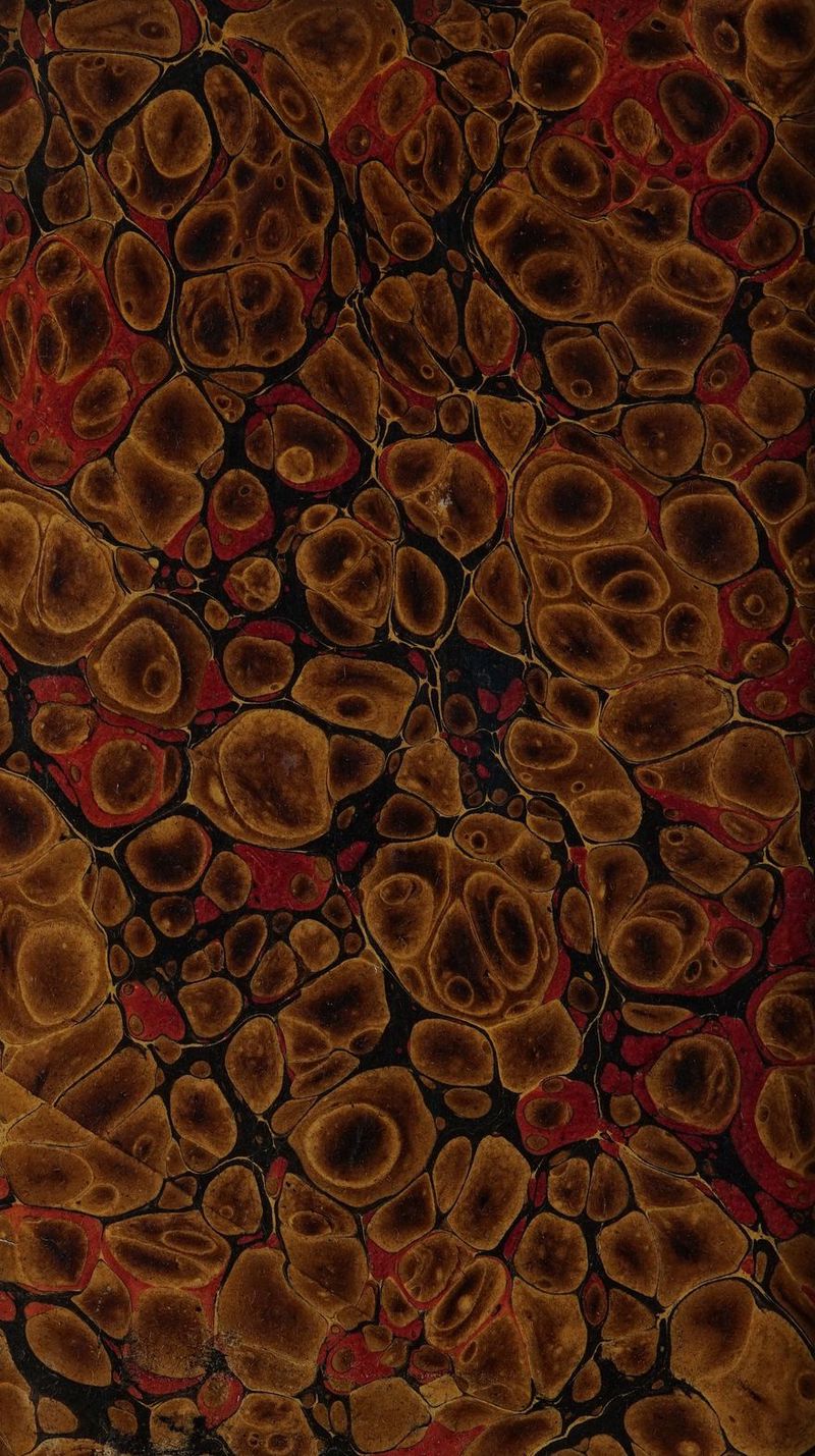 No text description is available for this image