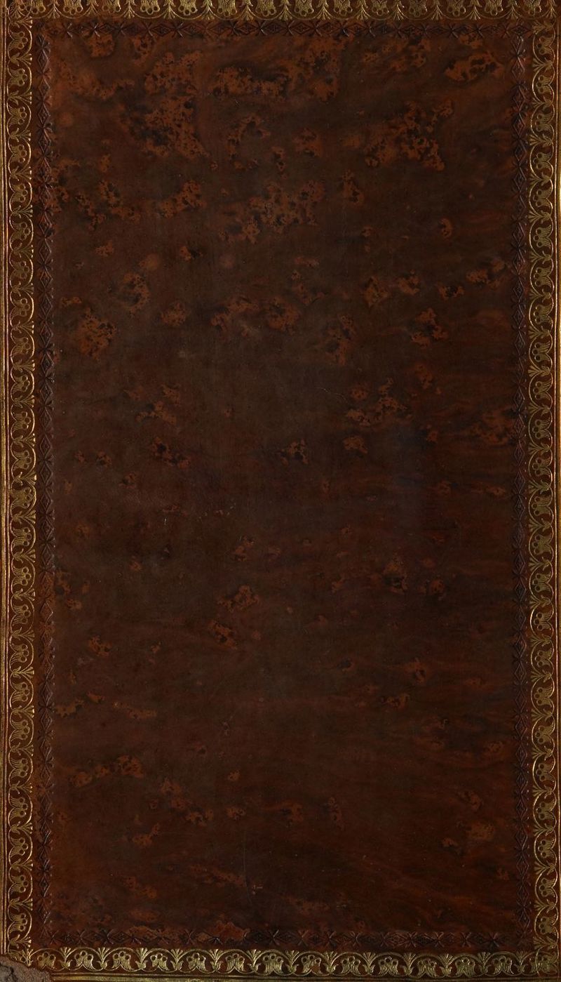 RER CVS ENT AS SEEN : | a a: ù : r N x CN LS NZ ? À V4 ’ \, sv MARINE TON