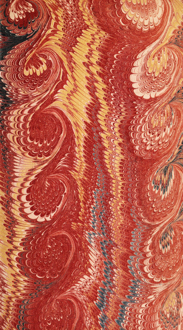 No text description is available for this image