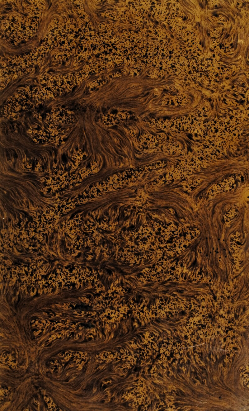 t t * b ä,W . J * \\v»v jTI3t a