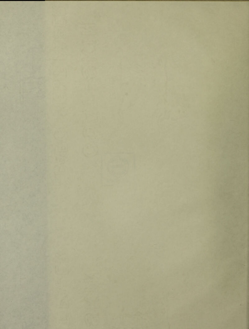 . f '-Vr • < ^ .^r * ^ fc' ., *> '- T, ^ i i; -Ispi’ ’ '* •' ' ‘' '-''Z 4#^#r â