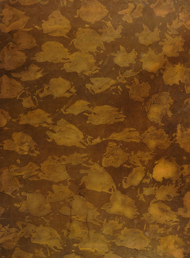 digitised image 1