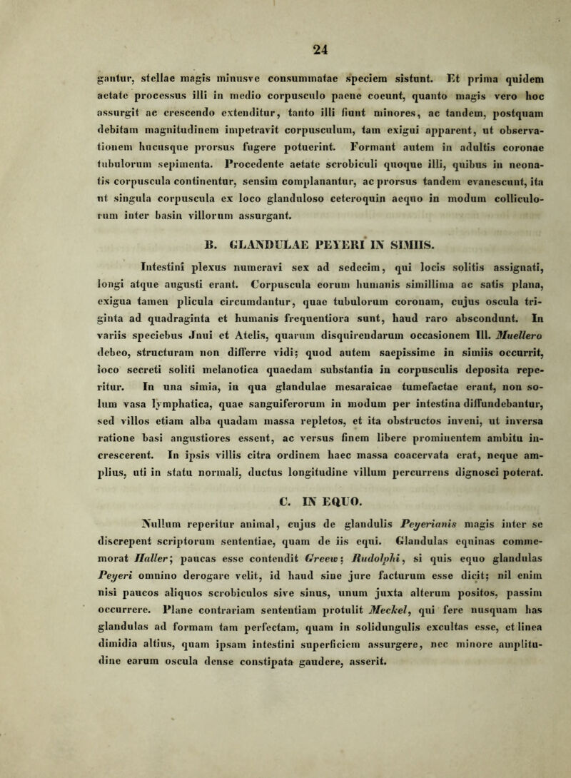 gaiitur, stellae magis mliiiisve consummatae speciem sistunt. Kt prima quidem aetate processus illi in rnedio corpusculo paene coeunt, quanto magis vero hoc assurgit ac crescendo extenditur, tanto illi fiunt minores, ac tandem, postquam debitam magnitudinem impetravit corpusculum, tam exigui apparent, ut observa- tionem hucusque prorsus fugere potuerint. Formant autem in adultis coronae tubulorum sepimenta. Procedente aetate scrobiculi quoque illi, quibus in neona- tis corpuscula continentur, sensim complanantur, ac prorsus tandem evanescunt, ita nt singula corpuscula ex loco glanduloso ceteroquin aequo in modum colliculo- rum inter basia villorum assurgant. B. GLANDULAE PEYERI IN SIMIIS. Intestini plexus numeravi sex ad sedecim, qui locis solitis assignati, longi atque augusti erant. Corpuscula eorum humanis simillima ac satis plana, exigua tamen plicula circumdantur, quae tubulorum coronam, cujus oscula tri- ginta ad quadraginta et humanis frequeutiora sunt, haud raro abscondunt. In variis speciebus Jnui et Atelis, quarum disquirendarum occasionem lll. Muellero debeo, structuram non differre vidi; quod autem saepissime in simiis occurrit, loco secreti soliti melanotica quaedam substantia in corpusculis deposita repe- ritur. In una simia, in qua glandulae mesaraicae tumefactae erant, non so- lum vasa lymphatica, quae sanguiferorum in modum per intestina diffundebantur, sed villos etiam alba quadam massa repletos, et ita obstructos inveni, ut inversa ratione basi angustiores essent, ac versus finem libere prominentem ambitu in- crescerent. In ipsis villis citra ordinem haec massa coacervata erat, neque am- plius, uti in statu normali, ductus longitudine villum percurrens dignosci poterat. C. IN Eauo. Nullum reperitur animal, cujus de glandulis Peyerianis magis inter se discrepent scriptorum sententiae, quam de iis equi. Glandulas equinas comme- morat Ilnller’^ paucas esse contendit Greew, JtudolpJti, si quis equo glandulas Peyeri omnino derogare velit, id haud sine jure facturum esse dicit; nil enim nisi paucos aliquos scrobiculos sive sinus, unum juxta alterum positos, passim occurrere. Plane contrariam sententiam protulit Mechcl, qui fere nusquam has glandulas ad formam tam perfectam, quam in solidungulis excultas esse, et linea dimidia altius, quam ipsam intestini superficiem assurgere, nec minore amplitu- dine earum oscula dense constipata gaudere, asserit.