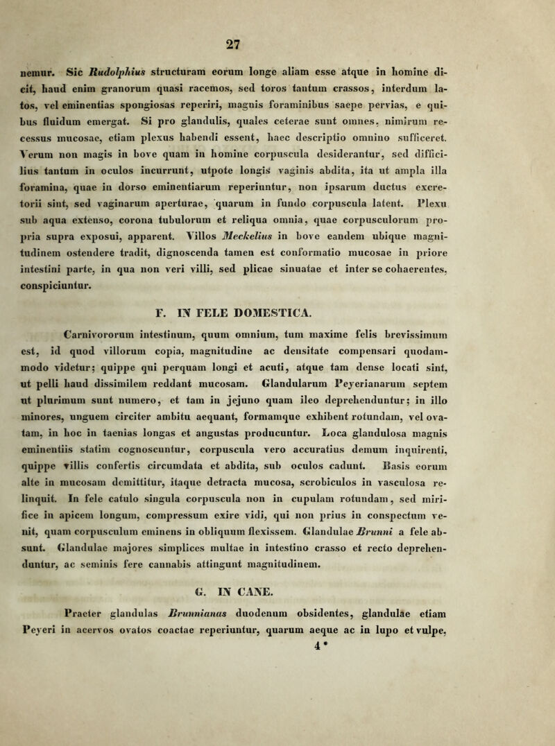nemur. Sic Rudolphius structuram eorum longe aliam esse atque in homine di- cit, haud enim granorum quasi racemos, sed toros tantum crassos, interdum la- tos, vel eminentias spongiosas reperiri, magnis foraminibus saepe pervias, e qui- bus fluidum emergat. Si pro glandulis, quales ceterae sunt omnes, nimirum re- cessus mucosae, etiam plexus habendi essent, haec descriptio omnino sufficeret. Verum non magis in bove quam in homine corpuscula desiderantur, sed diffici- lius tantum in oculos incurrunt, utpote longis vaginis abdita, ita ut ampla illa foramina, quae in dorso eminentiarum reperiuntur, non ipsarum ductus excre- torii sint, sed vaginarum aperturae, quarum in fundo corpuscula latent. Plexu sub aqua extenso, corona tubulorum et reliqua omnia, quae corpusculorum pro- pria supra exposui, apparent. Villos Meckellus in bove eandem ubique magni- tudinem ostendere tradit, dignoscenda tamen est conformatio mucosae in priore intestini parte, in qua non veri villi, sed plicae sinuatae et inter se cohaerentes, conspiciuntur. F. IX FELE DOMESTICA. Carnivororum intestinum, quum omnium, tum maxime felis brevis.simum est, id quod villorum copia, magnitudine ac densitate compensari quodam- modo videtur; quij)pe qui perquam longi et acuti, atque tam dense locati sint, ut pelli haud dissimilem reddant mucosam. Glandularum Peyerianarum septem ut plurimum sunt numero, et tam in jejuno quam ileo deprehenduntur; in illo minores, unguem circiter ambitu aequant, formamque exhibent rotundam, vel ova- tam, in hoc in taenias longas et angustas producuntur. Loca glandulosa magnis eminentiis statim cognoscuntur, corpuscula vero accuratius demum inquirenti, quippe villis confertis circumdata et abdita, sub oculos cadunt. llasis eorum alte in mucosam demittitur, itaque detracta mucosa, scrobiculos in vasculosa re- linquit. In fele catulo .singula corpuscula non in cupulam rotundam, sed miri- fice in apicem longum, compressum exire vidi, qui non prius in conspectum ve- nit, quam corpusculum eminens in obliquum flexissem. Glandulae .Srunnt a fele ab- sunt. Glandulae majores simplices multae in intestino crasso et recto deprehen- duntur, ac seminis fere cannabis attingunt magnitudinem. G. Ii\ CAXE. Praeter glandulas Brunnianus duodenum obsidentes, glandulae etiam Peyeri in acervos ovatos coactae reperiuntur, quarum aeque ac in lupo et vulpe, 4*