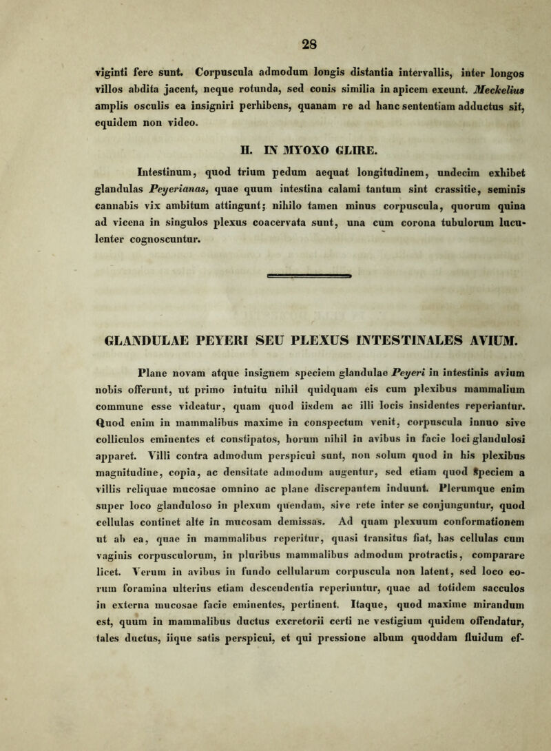 vlgintl fere sunt. Corpuscula admodum longis distantia intervallis, inter longos villos abdita jacent, neque rotunda, sed conis similia in apicem exeunt. Meckeliua amplis osculis ea insigniri perhibens, quanam re ad hanc sententiam adductus sit, equidem non video. H. IN MYOXO GLIRE. Intestinum, quod trium pedum aequat longitudinem, undecim exhibet glandulas Peyerianas, quae quum intestina calami tantum sint crassitie, seminis cannabis vix ambitum attingunt; nihilo tamen minus corpuscula, quorum quina ad vicena in singulos plexus coacervata sunt, una cum corona tubulorum lucu* lenter cognoscuntur. GLANDULAE PEYERI SEU PLEXUS INTESTINALES AVIUM. Plane novam atque insignem .speciem glandulae Peyeri in intestinis avium nobis offerunt, ut primo intuitu nihil quidquam eis cum plexibus mammalium commune esse videatur, quam quod iisdem ac illi locis insidentes reperiantur. Quod enim in mammalibus maxime iu conspectum venit, corpuscula innuo sive colliculos eminentes et constipatos, horum nihil in avibus in facie loci glandulosi apparet. Villi contra admodum perspicui sunt, non solum quod in his plexibus magnitudine, copia, ac densitate admodum augentur, sed etiam quod tpeciem a villis reliquae mucosae omnino ac plane discrepantem induunt. Plerumque enim super loco glanduloso in plexum quendam, sive rete inter se conjunguntur, quod cellulas continet alte in mucosam demissas. Ad quam plexuum conformationem ut ab ea, quae in mammalibus reperitur, quasi transitus hat, has cellulas cum vaginis corpusculorum, in pluribus mammalibus admodum protractis, comparare licet. Verum in avibus in fundo cellularum corpuscula non latent, sed loco eo- rum foramina ulterius etiam descendentia reperiuntur, quae ad totidem sacculos in externa mucosae facie eininente.s, pertinent. Itaque, quod maxime mirandum est, quum in mammalibus ductus exci*etorii certi ne vestigium quidem offendatur, tales ductus, iique satis perspicui, et qui pressione album quoddam fluidum ef-