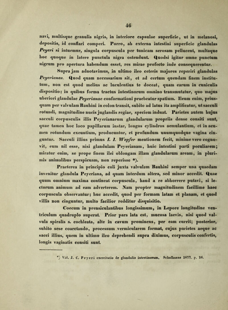 navi, mnltisquc granulis nigris, in interiore capsulae superficie, ut in mclanosi, depositis, id conflari comperi. Porro, ab externa intestini superficie glandulas Peyeri si intuemur, singula corpuscula per tunicam serosam pellucent, multaque Itoc quoque in latere punctula nigra ostendunt, (iuodsi igitur omne punctum nigrum pro apertura habendum esset, res mirae profecto inde consequerentur. Supra jam adnotavimus, in ultimo ileo ceteris majores reperiri glandulas Peyerianas. Quod quam necessarium sit, et ad certum quendam finem institu- tum, non est quod melius ac luculentius te doceat, quam carum in cuniculis dispositio; in quibus forma fractus intestinorum omnino transmutatur, quo majus uberiori glandulae Peyerianae conformationi praebeatur spatium. Ileum enim, prius- quam per valvulam llauhini in colon transit, subito ad latus ita amplificatur, ut sacculi rotundi, magnitudine nucis juglandis regiae, speciem induat. Parietes autem hujus sacculi corpusculis illis Peyerianariim glandularum propriis dense consiti sunt, quae tamen hoc loco papillarum instar, longos cylindros aemulantium, et in acu- men rotundum exeuntium, producuntur, et profundum unumquodque vagina cin- guntur. Sacculi illius primus I. 1. Wepfer mentionem fecit, minime vero cogno- vit, eum nil esse, nisi glandulam Pcyerianam, huic intestini parti peculiarem; miratur enim, se prope finem ilei oblongam illam glandularum aream, in pluri- mis animalibus perspicuam, non reperisse *). Praeterea in principio coli juxta valvulam Bauhini semper una quaedam invenitur glandula Peyeriana, ad quam interdum altera, sed minor accedit. Quae quum omnium maxima contineat corpuscula, haud a re abhorrere putavi, si le- ctorum animum ad eam adverterem. Nam propter magnitudinem facillime haec corpuscula observantur; huc accedit, quod per formam latam et planam, et quod villis non cinguntur, multo facilior redditur disquisitio. Coecum in prensiculantibus longissimum, in Lepore longitudine ven- triculum quadruplo superat. Prior pars lata est, mucosa laevis, nisi quod val- vula spiralis s. cochleata, alte in cavum prominens, per eam currit; posterior, subito sese coarctando, processum vermicularem format, cujus parietes aeque ac sacci illius, quem in ultimo ileo deprehendi supra diximus, corpusculis confertis, longis vaginatis consiti sunt. *) J. C. Peyeri exercilalio «le glandulis intestinorum, Schafliusae 1677, p. 16.