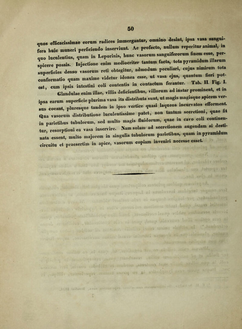 ,008 efficaeissimae eorum raaicea immergautur, omniuo deamt, ipsa vasa sangiu- fera huic muneri perficiendo inserviunt. Ac profecto, uuUum repentur animal, in quo laeuleutius, quam in Leporinis, hunc vasorum sanguiferorum finem esse per- spieere possis. Injectione enim mediocriter tantum faeta, tota pyramidum illarum sLerficies denso vasorum reti obtegitur, admodum peculiari, cujus nimirum tota conformatio ,uam maxime videtur idonea esse, ut vasa ejus, quantum fieri pot- est, cum ipsis intestini coU contentis in contactum ferantur, lab. II. Fig. I. Glandulae enim illae, villis deficientibus, villorum ad instar prominent, et in ipsa earum superficie plurima vasa ita distributa sunt, ut magis magisque api^m ver- sus coeant, pluresque tandem in ipso vertice quasi laqueos incurvatos efforment ana vasorum distributione luculentissime patet, non tantum secretioni, quae in parietibus tubulorum, sed multo magis fluidorum, quae in cavo coli continen- tor, resorptioni ea vasa inservire. Nam solam-ad secretionem augendam si desti- nata essent, multo majorem in singulis tubulorum parietibus, quam in pyramidum circuitu et praesertim in apice, vasorum copiam inveniri necesse esset.