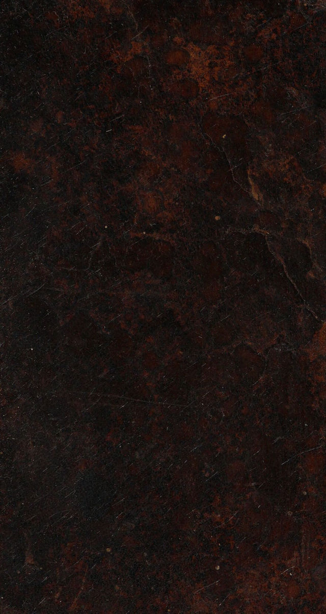 digitised image 1