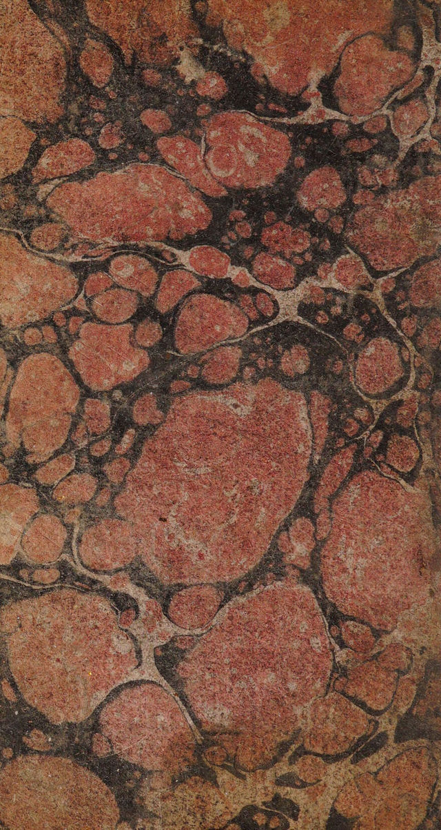 digitised image 2