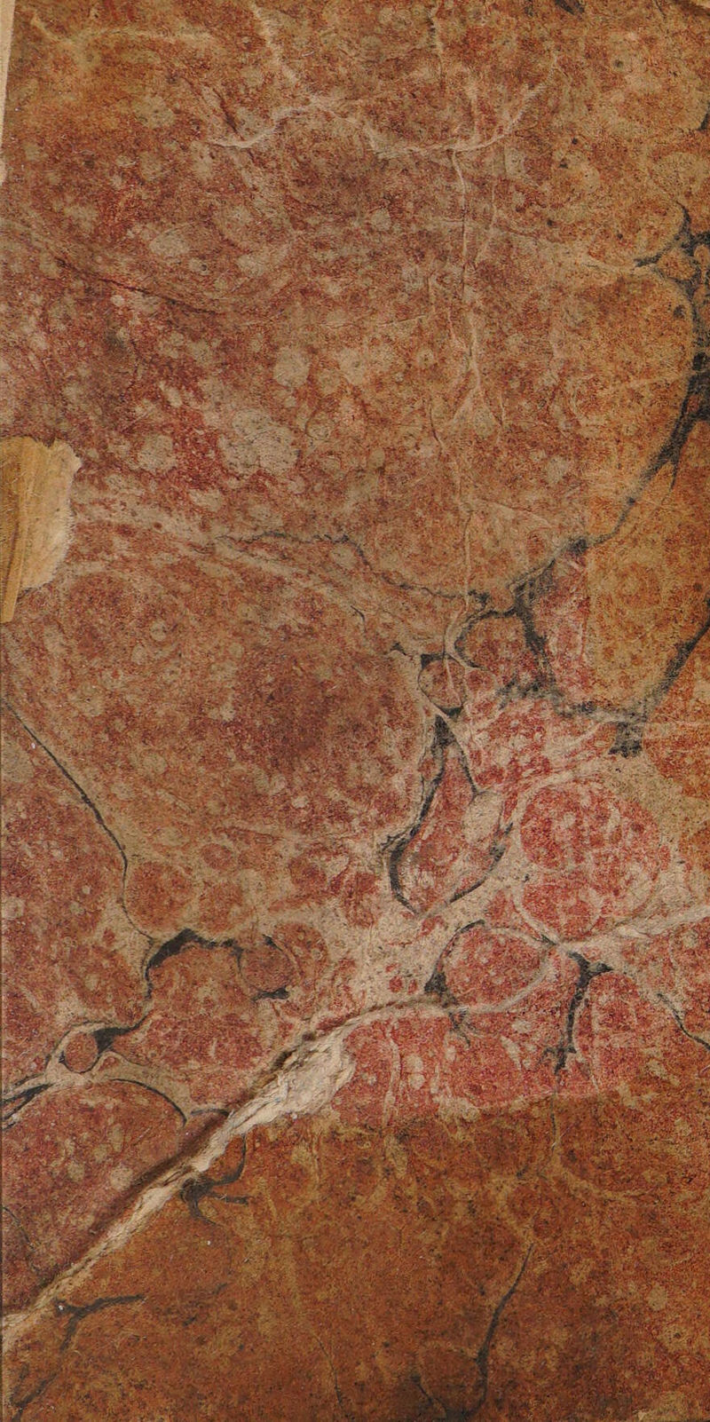 No text description is available for this image