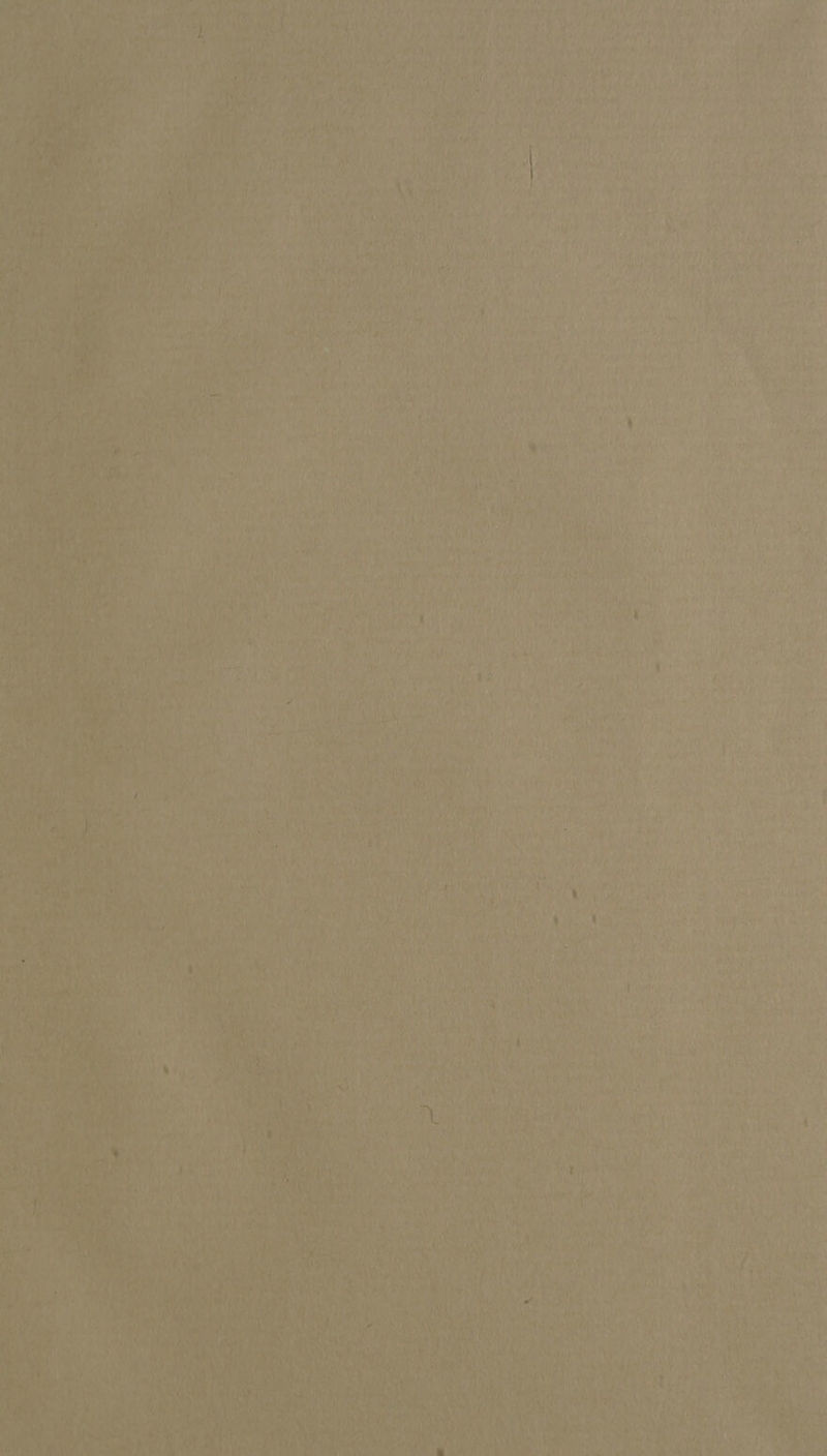 i A Ail ee yeh Ae yt, Wy Meee ais ROMA ONT hire torial P A , With Cy yi tap fe Rh NALS 