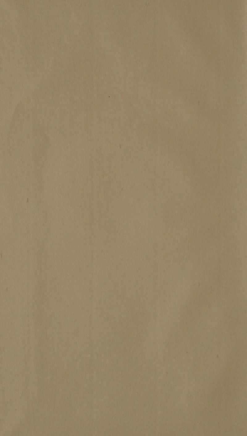 4 yi il> eee ag ays ‘ey 