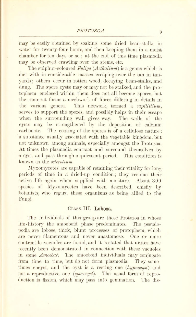 may be easily obtained by soaking some dried bean-stalks in water for twenty-four hours, and then keeping them in a moist chamber for ten days or so ; at the end of this time plasmodia may be observed crawling over the stems, etc. The sulphur-coloured Fuligo (Adlialium) is a genus which is met with in considerable masses creeping over the tan in tan- yards ; others occur in rotten wood, decaying bean-stalks, and dung. The spore cysts may or may not be stalked, and the pro¬ toplasm enclosed within them does not all become spores, but the remnant forms a meshwork of fibres differing in details in the various genera. This network, termed a capillitiurn, serves to support the spores, and possibly helps in their escape when the surrounding wall gives way. The walls of the cysts may be strengthened by the deposition of calcium carbonate. The coating of the spores is of a cellulose nature: a substance usually associated with the vegetable kingdom, but not unknown among animals, especially amongst the Protozoa. At times the plasmodia contract and surround themselves by a cyst, and pass through a quiescent period. This condition is known as the sclerotium. Myxomycetes are capable of retaining their vitality for long periods of time in a dried-up condition; they resume their active life again when supplied with moisture. About 300 species of Myxomycetes have been described, chiefly by botanists, who regard these organisms as being allied to the Fungi. Class III. Lobosa. The individuals of this group are those Protozoa in whose life-history the amoeboid phase predominates. The pseudo¬ podia are lobose, thick, blunt processes of protoplasm, which are never filamentous and never anastomose. One or more contractile vacuoles are found, and it is stated that urates have recently been demonstrated in connection with these vacuoles in some Amoebae. The amoeboid individuals may conjugate from time to time, but do not form plasmodia. They some¬ times encyst, and the cyst is a resting one ([hypnocyst) and not a reproductive one (sporocyst). The usual form of repro¬ duction is fission, which may pass into gemmation. The dis-