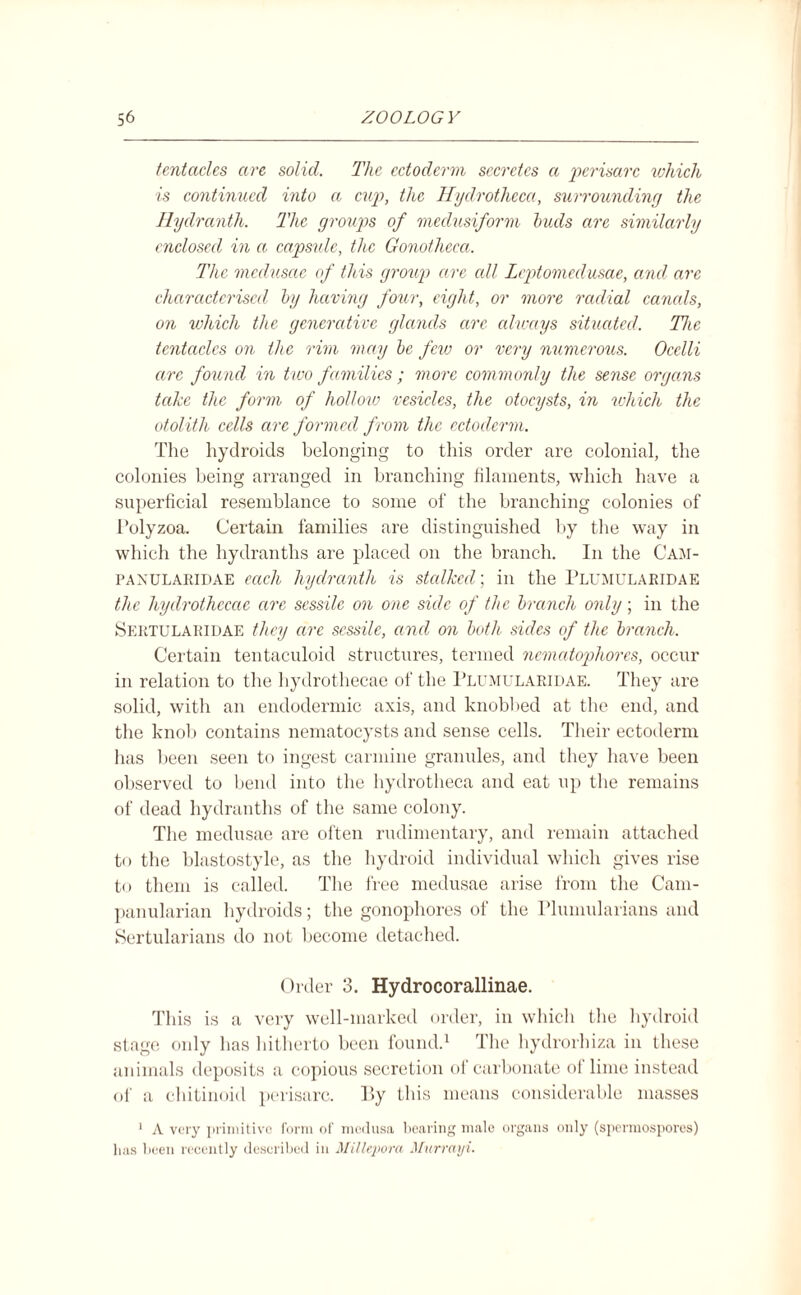 tentacles are solid. The ectoderm secretes a perisarc which is continued into a cup, the Hydrotheca, surrounding the Hydranth. The groups of meclusiform buds are similarly enclosed in a capsule, the Gonotheca. The medusae of this group are all Leptomeclusae, and are characterised by having four, eight, or more radial canals, on which the generative glands arc always situated. The tentacles on the rim may be few or very numerous. Ocelli arc found in two families; more commonly the sense organs take the form of hollow vesicles, the otocysts, in which the otolith cells are formed from the ectoderm. The hydroids belonging to this order are colonial, the colonies being arranged in branching filaments, which have a superficial resemblance to some of the branching colonies of Polyzoa. Certain families are distinguished by the way in which the hydranths are placed on the branch. In the Cam- panularidae each hydranth is stalked; in the Plumularidae the hydrothecae are sessile on one side of the branch only; in the Sertularidae they are sessile, and on both sides of the branch. Certain tentaculoid structures, termed nematophores, occur in relation to the hydrothecae of the Plumularidae. They are solid, with an endodermic axis, and knobbed at the end, and the knob contains nematocysts and sense cells. Their ectoderm lias been seen to ingest carmine granules, and they have been observed to bend into the hydrotheca and eat up the remains of dead hydranths of the same colony. The medusae are often rudimentary, and remain attached to the blastostyle, as the by droid individual which gives rise to them is called. The free medusae arise from the Cam- panularian hydroids; the gonophores of the Plumularians and Sertularians do not become detached. Order 3. Hydrocorallinae. This is a very well-marked order, in which the hydroid stage only has hitherto been found.1 The hydrorhiza in these animals deposits a copious secretion of carbonate of lime instead of a chitinoid perisarc. By this means considerable masses 1 A very primitive form of medusa bearing male organs only (spermospores) lias been recently described in Millepora Murrayi.