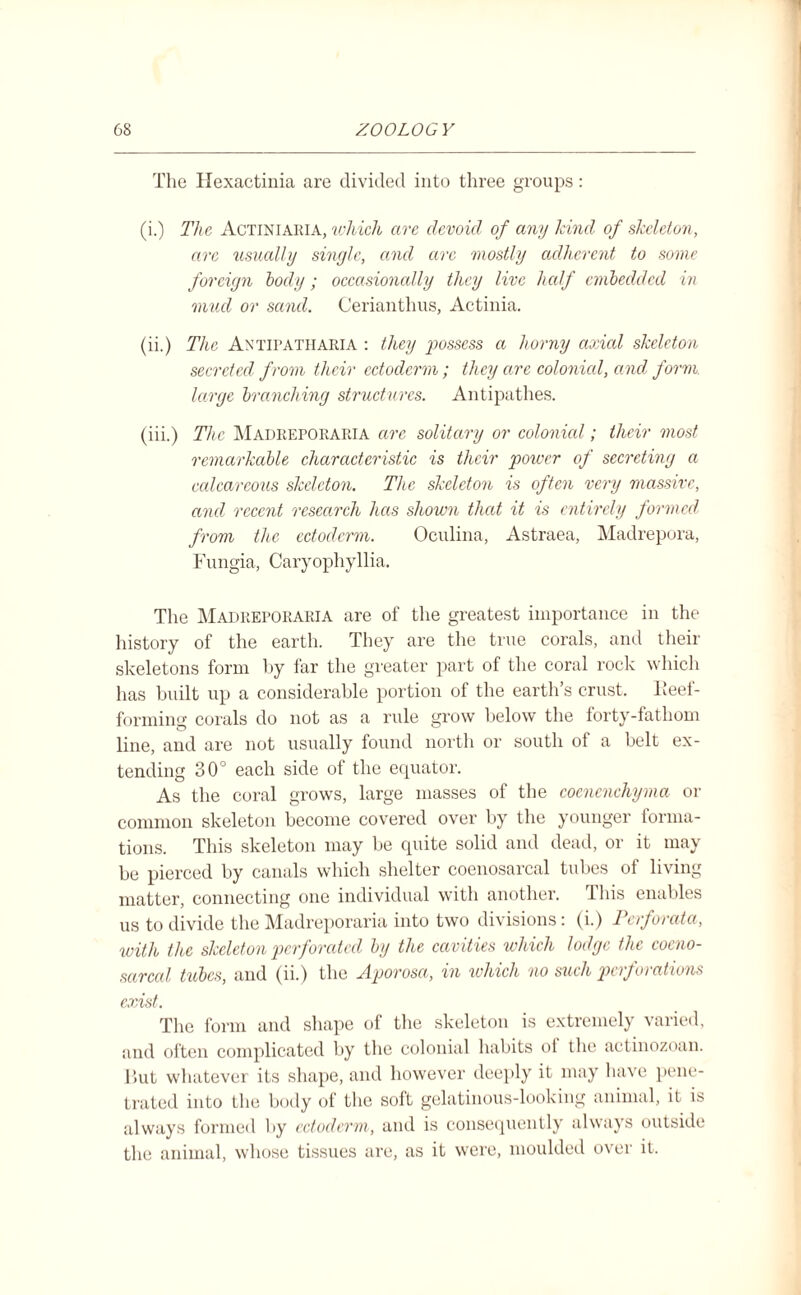 The Hexactinia are divided into three groups: (i.) The Actiniaria, which are devoid of any kind of skeleton, are usually single, and are mostly adherent to some foreign body; occasionally they live half embedded in mud or sand. Cerianthus, Actinia. (ii.) The Antipath ARIA : they possess a horny axial skeleton secreted from their ectoderm; they are colonial, and form, large branching structures. Antipathes. (iii.) The Madreporaria are solitary or colonial; their most remarkable characteristic is their power of secreting a calcareous skeleton. The skeleton is often very massive, and recent research lias shown that it is entirely formed from the ectoderm. Oculina, Astraea, Madrepora, Fungia, Caryophyllia. The Madreporaria are of the greatest importance in the history of the earth. They are the true corals, and their skeletons form by far the greater part of the coral rock which has built up a considerable portion of the earth’s crust. Feel- forming corals do not as a rule grow below the forty-fathom line, and are not usually found north or south of a belt ex¬ tending 30° each side of the equator. As the coral grows, large masses of the coenenehyma or common skeleton become covered over by the younger forma¬ tions. This skeleton may be quite solid and dead, or it may be pierced by canals which shelter coenosarcal tubes of living matter, connecting one individual with another. This enables us to divide the Madreporaria into two divisions: (i.) Perforata, with the skeleton perforated by the cavities which lodge the coeno¬ sarcal tubes, and (ii.) the Aporosa, in which no such perforations exist. The form and shape of the skeleton is extremely varied, and often complicated by the colonial habits ot the actinozoan. liut whatever its shape, and however deeply it may have pene¬ trated into the body of the soft gelatinous-looking animal, if is always formed by ectoderm, and is consequently always outside the animal, whose tissues are, as it were, moulded over it.