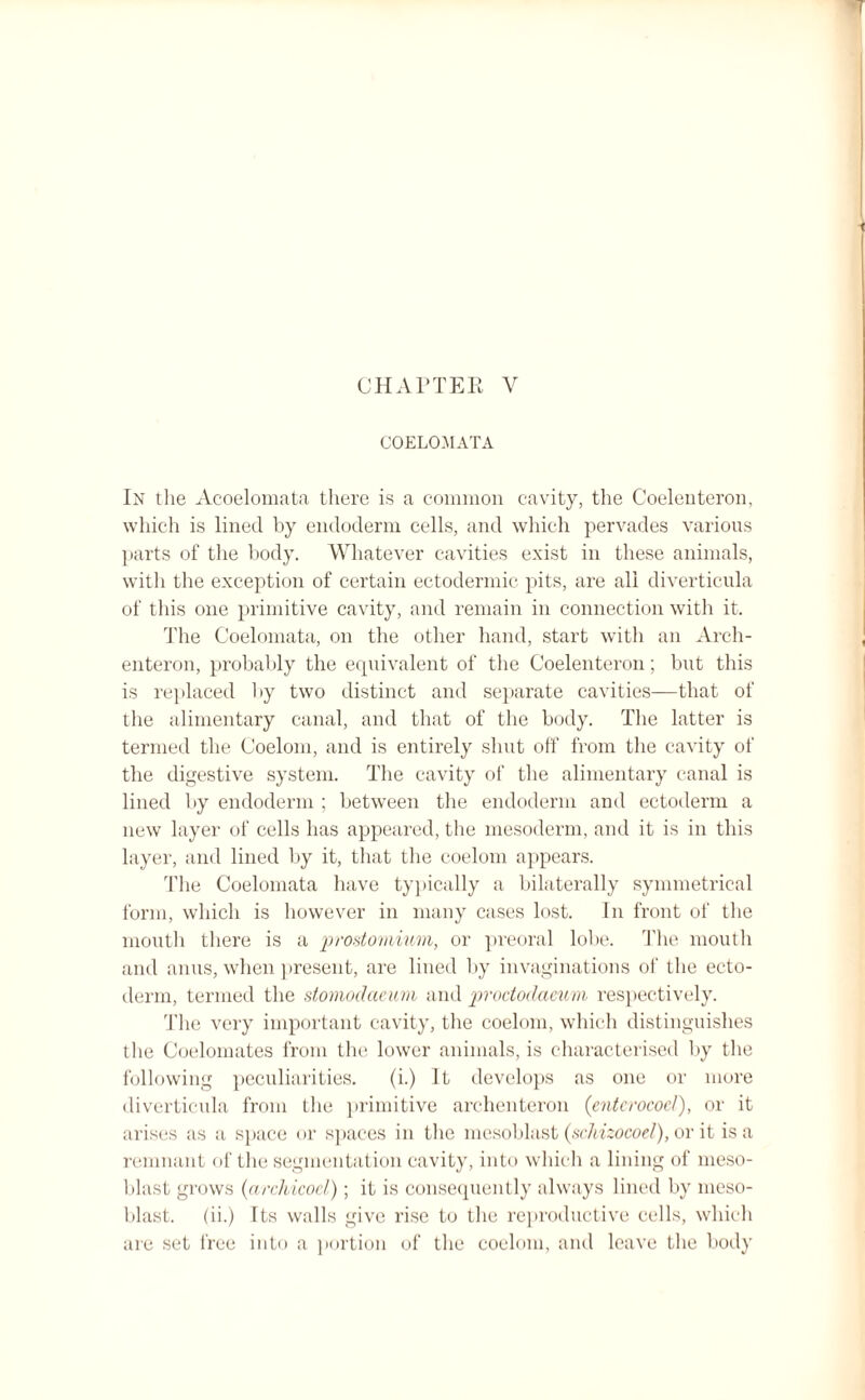 COELOMATA In the Acoelomata there is a common cavity, the Coelenteron, which is lined by endoderm cells, and which pervades various parts of the body. Whatever cavities exist in these animals, with the exception of certain ectodermic pits, are ali diverticula of this one primitive cavity, and remain in connection with it. The Coelomata, on the other hand, start with an Arch- enteron, probably the equivalent of the Coelenteron; but this is replaced by two distinct and separate cavities—that of the alimentary canal, and that of the body. The latter is termed the Coelom, and is entirely shut off from the cavity of the digestive system. The cavity of the alimentary canal is lined by endoderm ; between the endoderm and ectoderm a new layer of cells has appeared, the mesoderm, and it is in this layer, and lined by it, that the coelom appears. The Coelomata have typically a bilaterally symmetrical form, which is however in many cases lost. In front of the mouth there is a prostomium, or preoral lobe. The mouth and anus, when present, are lined by invaginations of the ecto¬ derm, termed the stomodcieum and proctodaeum respectively. The very important cavity, the coelom, which distinguishes the Coelomates from the lower animals, is characterised by the following peculiarities. (i.) It develops as one or more diverticula from the primitive archenteron (entcrococ/), or it arises as a space or spaces in the mesoblast (schizocoel), or it is a remnant of the segmentation cavity, into which a lining of meso¬ blast grows (archicocl); it is consequently always lined by meso¬ blast. (ii.) rts walls give rise to the reproductive cells, which are set free into a portion of the coelom, and leave the body