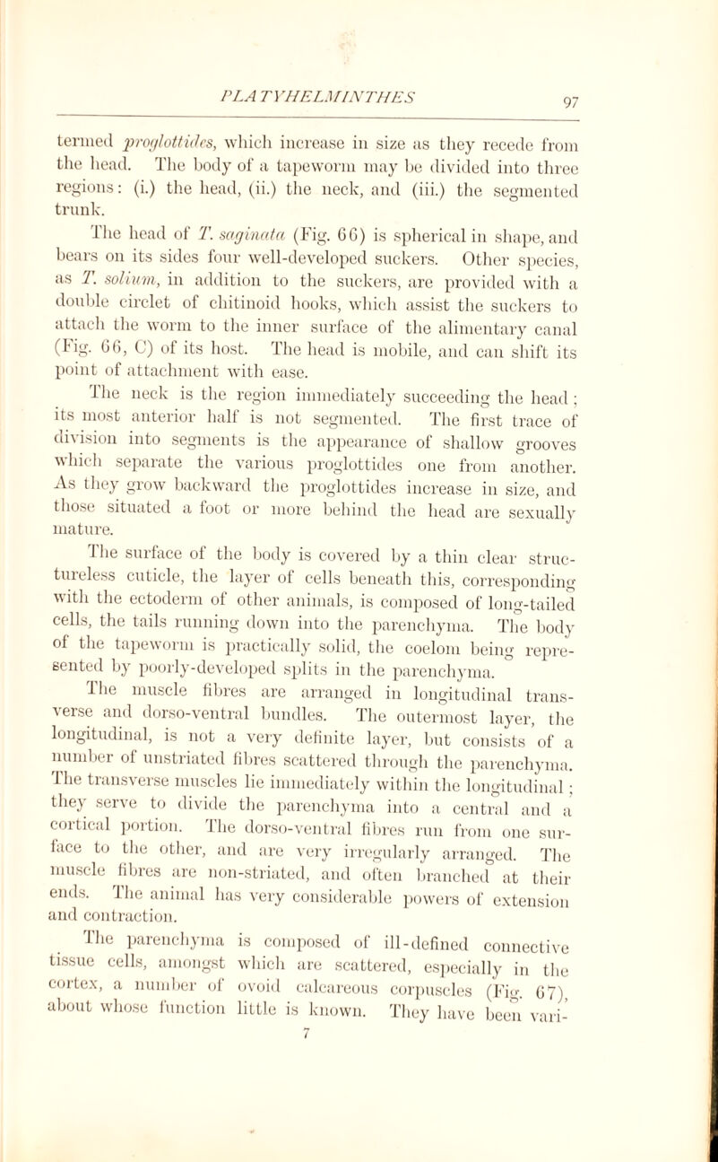 termed proglottides, which increase in size as they recede from the head. The body of a tapeworm may be divided into three regions: (i.) the head, (ii.) the neck, and (iii.) the segmented trunk. The head of T. saginata (Fig. 66) is spherical in shape, and bears on its sides four well-developed suckers. Other species, as 1\ solium, in addition to the suckers, are provided with a double circlet of chitinoid hooks, which assist the suckers to attach the worm to the inner surface of the alimentary canal (Fig. 66, C) of its host. The head is mobile, and can shift its point of attachment with ease. fhe neck is the region immediately succeeding the head ; its most anterior hall is not segmented. The first trace of division into segments is the appearance of shallow grooves w hie h sepai ate the various proglottides one from another. As they grow backward the proglottides increase in size, and those situated a toot or more behind the head are sexuallv mature. 1 he surface of the body is covered by a thin clear struc¬ tureless cuticle, the layer ot cells beneath this, corresponding with the ectoderm of other animals, is composed of long-tailed cells, the tails running down into the parenchyma. The body of the tapeworm is practically solid, the coelom being repre¬ sented by poorly-developed splits in the parenchyma. The muscle fibres are arranged in longitudinal trans¬ verse and dorso-ventral bundles. The outermost layer, the longitudinal, is not a very definite layer, but consists of a number of unstriated fibres scattered through the parenchyma. 1 he transverse muscles lie immediately within the longitudinal; they serve to divide the parenchyma into a central and a cortical portion. The dorso-ventral fibres run from one sur¬ face to the other, and are very irregularly arranged. The muscle fibres are non-striated, and often branched at their ends. The animal has very considerable powers of extension and contraction. file parenchyma is composed of ill-defined connective tissue cells, amongst which are scattered, especially in the cortex, a number of ovoid calcareous corpuscles (Fig. 67) about whose function little is known. They have been vari-