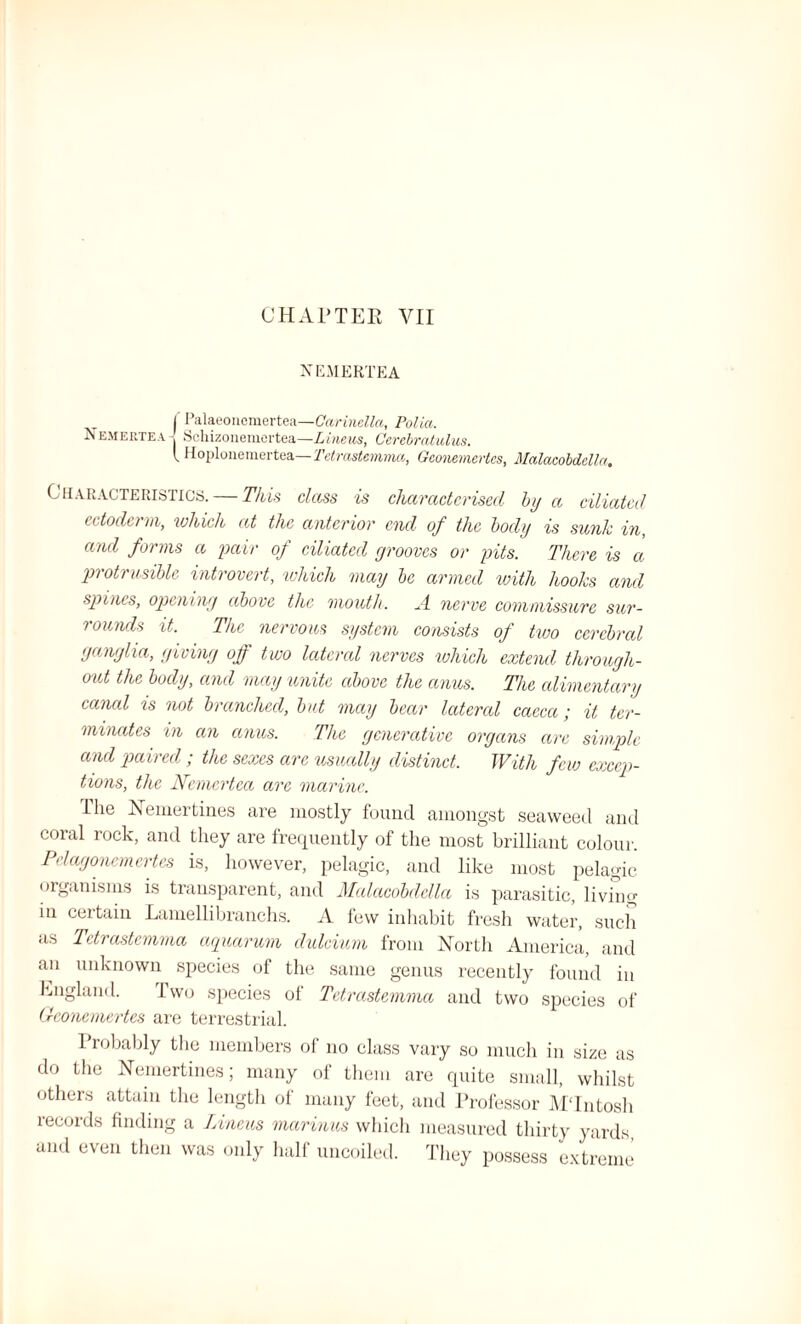 NEMERTEA f Palaeonemertea—Carinella, Police. Nemertea-J Schizonemertea—Lineus, Cerebratulus. I Hoplonemertea— Tetrastemma, Geonemertes, Malacobdella. Characteristics. — This class is characterised by a ciliated cctodti m, which at the anterior end of the body is sunk in and forms a pair of ciliated grooves or pits. There is a protrusible introvert, which may be armed with hooks and spines, opening above the mouth. A nerve commissure sur¬ rounds it. The nervous system consists of two cerebral ganglia, giving off two lateral nerves which extend through¬ out the body, and may unite above the anus. The alimentary canal is not branched, but may bear lateral caeca; it ter¬ minates in an anus. The generative organs are simple and paired ; the sexes are usually distinct. With few excep¬ tions, the Nemcrtca are marine. The Nemertines are mostly found amongst seaweed and coral rock, and they are frequently of the most brilliant colour. Pelagonemertes is, however, pelagic, and like most pelagic organisms is transparent, and Malacobdella is parasitic, living in certain Lamellibranchs. A few inhabit fresh water, such as Tetrastemma aquarum dulcium from North America, and an unknown species of the same genus recently found in England. Two species of Tetrastemma and two species of Geonemertes are terrestrial. Probably the members of no class vary so much in size as do the Nemertines; many of them are quite small, whilst others attain the length of many feet, and Professor MTntosh records finding a Lineus marinus which measured thirty yards and even then was only half uncoiled. They possess extreme
