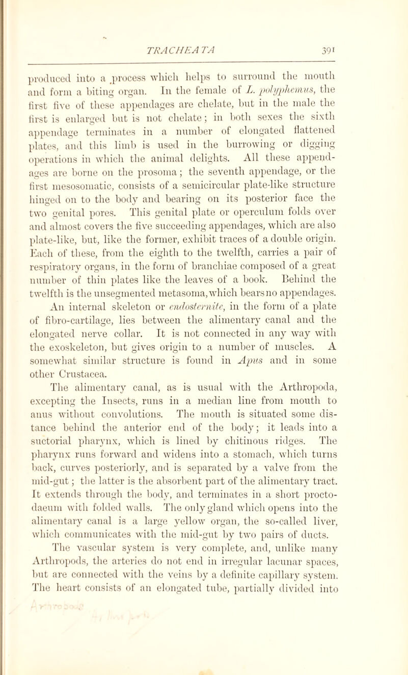 produced into a .process which helps to surround the mouth and form a biting organ. In the female of L. polyphemus, the first five of these appendages are chelate, but in the male the first is enlarged but is not chelate; in both sexes the sixth appendage terminates in a number of elongated flattened plates, and this limb is used in the burrowing or digging operations in which the animal delights. All these append¬ ages are borne on the prosoma; the seventh appendage, or the first mesosomatic, consists of a semicircular plate-like structure hinged on to the body and bearing on its posterior face the two genital pores. This genital plate or operculum folds over and almost covers the five succeeding appendages, which are also plate-like, but, like the former, exhibit traces of a double origin. Each of these, from the eighth to the twelfth, carries a pair of respiratory organs, in the form of branchiae composed of a great number of thin plates like the leaves of a book. Behind the twelfth is the unsegmented metasoma, which bearsno appendages. An internal skeleton or endosternite, in the form of a plate of fibro-cartilage, lies between the alimentary canal and the elongated nerve collar. It is not connected in any way with the exoskeleton, but gives origin to a number of muscles. A somewhat similar structure is found in Apus and in some other Crustacea. The alimentary canal, as is usual with the Arthropoda, excepting the Insects, runs in a median line from mouth to anus without convolutions. The mouth is situated some dis¬ tance behind the anterior end of the body; it leads into a suctorial pharynx, which is lined by chitinous ridges. The pharynx runs forward and widens into a stomach, which turns back, curves posteriorly, and is separated by a valve from the mid-gut; the latter is the absorbent part of the alimentary tract. It extends through the body, and terminates in a short procto- daeum with folded walls. The only gland which opens into the alimentary canal is a large yellow organ, the so-called liver, which communicates with the mid-gut by two pairs of ducts. The vascular system is very complete, and, unlike many Arthropods, the arteries do not end in irregular lacunar spaces, but are connected with the veins by a definite capillary system. The heart consists of an elongated tube, partially divided into
