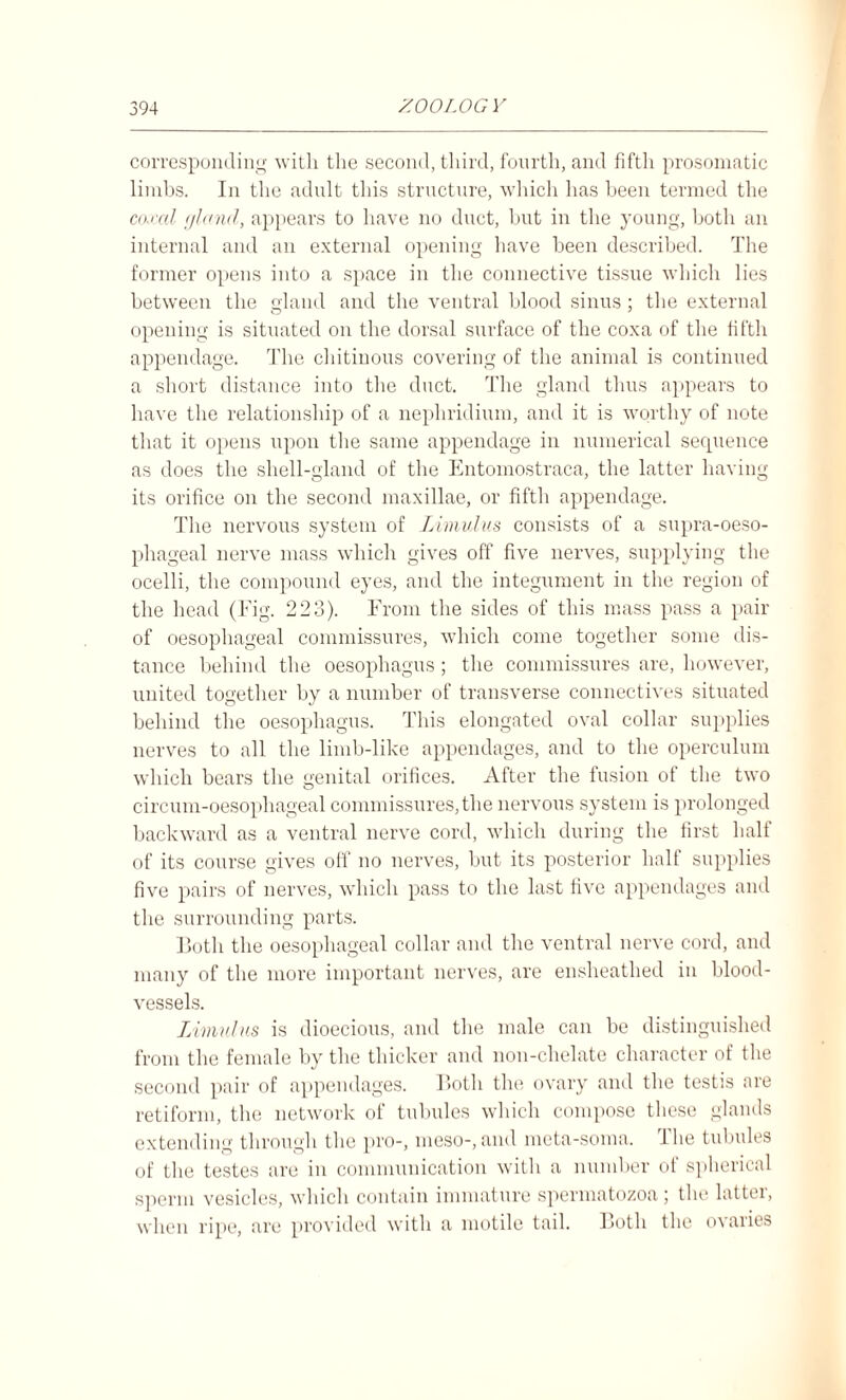 corresponding with the second, third, fourth, and fifth prosomatic limbs. In the adult this structure, which has been termed the coxal (/land, appears to have no duct, but in the young, both an internal and an external opening have been described. The former opens into a space in the connective tissue which lies between the gland and the ventral blood sinus; the external opening is situated on the dorsal surface of the coxa of the fifth appendage. The chitinous covering of the animal is continued a short distance into the duct. The gland thus appears to have the relationship of a nephridium, and it is worthy of note that it opens upon the same appendage in numerical secpience as does the shell-gland of the Entomostraca, the latter having its orifice on the second maxillae, or fifth appendage. The nervous system of Limulus consists of a supra-oeso- phageal nerve mass which gives off five nerves, supplying the ocelli, the compound eyes, and the integument in the region of the head (Fig. 223). From the sides of this mass pass a pair of oesophageal commissures, which come together some dis¬ tance behind the oesophagus ; the commissures are, however, united together by a number of transverse connectives situated behind the oesophagus. This elongated oval collar supplies nerves to all the limb-like appendages, and to the operculum which bears the genital orifices. After the fusion of the two circum-oesophageal commissures,the nervous system is prolonged backward as a ventral nerve cord, which during the first half of its course gives off no nerves, but its posterior half supplies five pairs of nerves, which pass to the last five appendages and the surrounding parts. Botli the oesophageal collar and the ventral nerve cord, and many of the more important nerves, are ensheathed in blood¬ vessels. Limulus is dioecious, and the male can be distinguished from the female by the thicker and non-chelate character of the second pair of appendages. Both the ovary and the testis are retiform, the network of tubules which compose these glands extending through the pro-, meso-, and meta-soma, llie tubules of the testes are in communication with a number ot spherical sperm vesicles, which contain immature spermatozoa; the lattei, when ripe, are provided with a motile tail. Both the ovaries