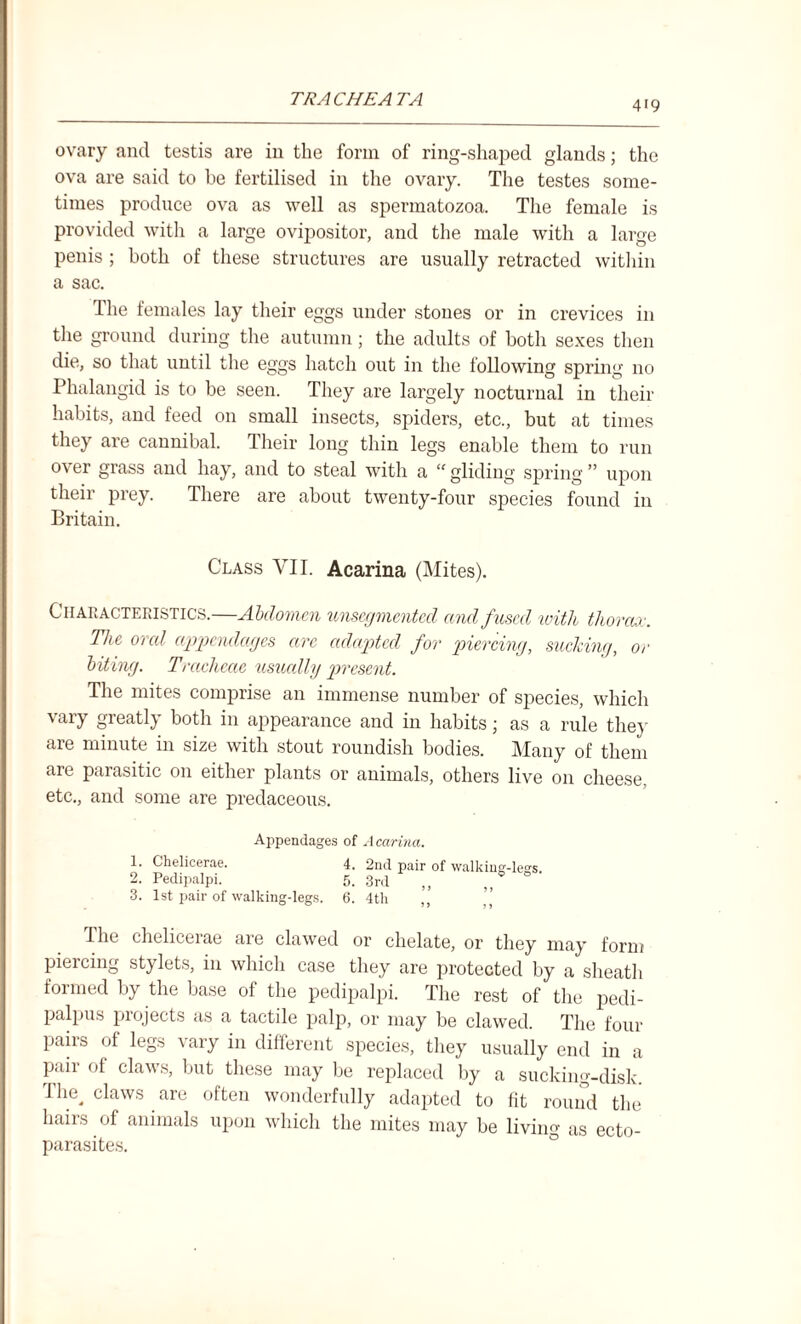 419 ovary and testis are in the form of ring-shaped glands; the ova are said to be fertilised in the ovary. The testes some¬ times produce ova as well as spermatozoa. The female is provided with a large ovipositor, and the male with a large penis ; both of these structures are usually retracted within a sac. The females lay their eggs under stones or in crevices in the ground during the autumn; the adults of both sexes then die, so that until the eggs hatch out in the following spring no Phalangid is to be seen. They are largely nocturnal in their habits, and feed on small insects, spiders, etc., but at times they are cannibal. Their long thin legs enable them to run over grass and hay, and to steal with a  gliding spring ” upon their prey. There are about twenty-four species found in Britain. Class VII. Acarina (Mites). Characteristics.—Abdomen unsegmented and fused with thorax. The oral appendages are adapted for piercing, sucking, or biting. Tracheae usually present. The mites comprise an immense number of species, which vary greatly both in appearance and in habits; as a rule they are minute in size with stout roundish bodies. Many of them are parasitic on either plants or animals, others live on cheese, etc., and some are predaceous. Appendages of Acarina. 1. Chelicerae. 4. 2nd pair of walkins'-leCTs 2. Pedipalpi. 5. 3rd 3. 1st pair of walking-legs. 6. 4th ,, The chelicerae are clawed or chelate, or they may form piercing stylets, in which case they are protected by a sheath formed by the base of the pedipalpi. The rest of the pedi- palpus projects as a tactile palp, or may be clawed. The four pairs of legs vary in different species, they usually end in a pair of claws, but these may be replaced by a sucking-disk. The, claws are often wonderfully adapted to fit round the hairs of animals upon which the mites may be living as ecto¬ parasites.
